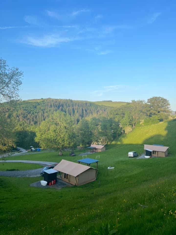 Safari tents 