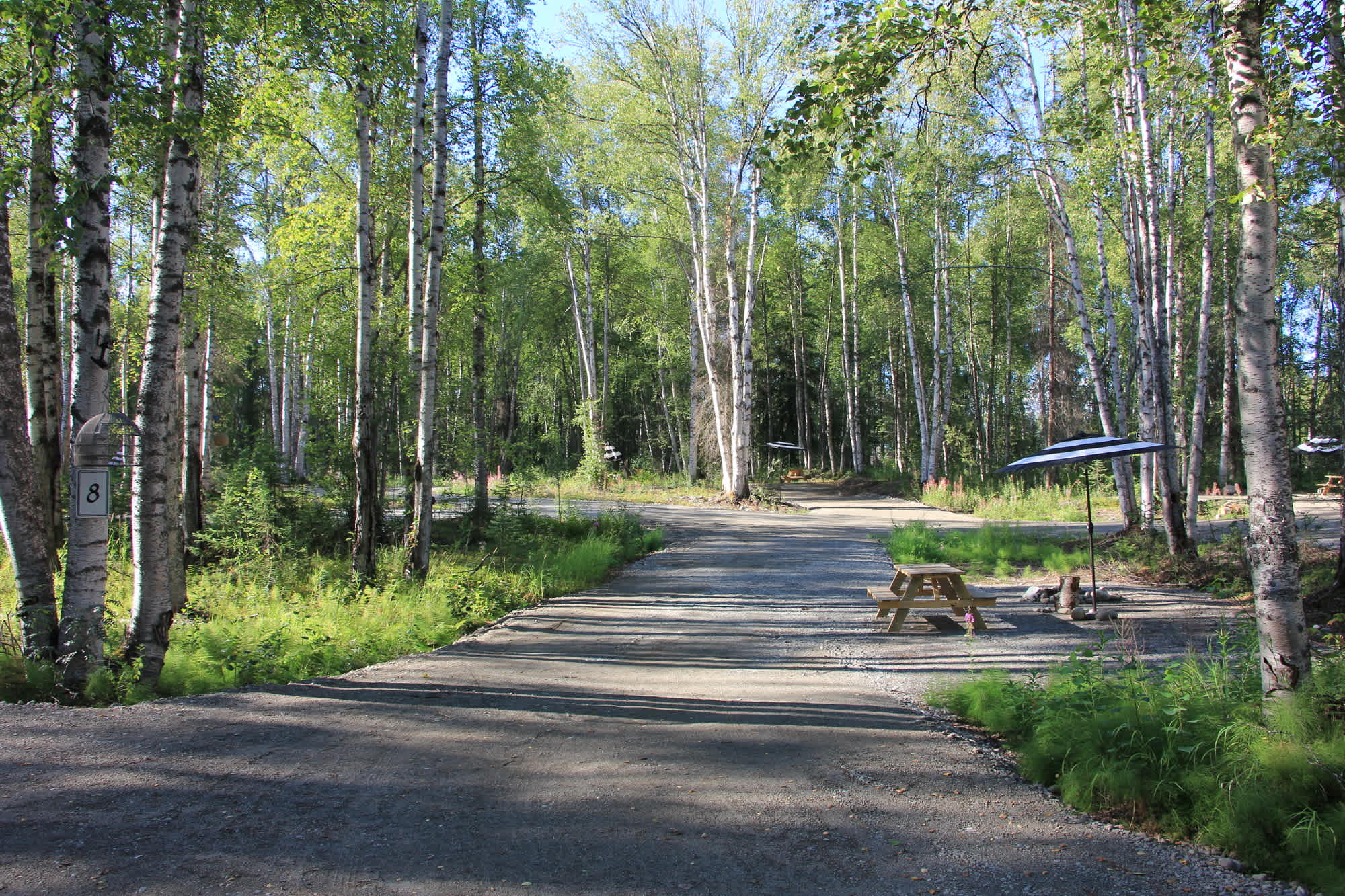 Talkeetna Lake Retreat