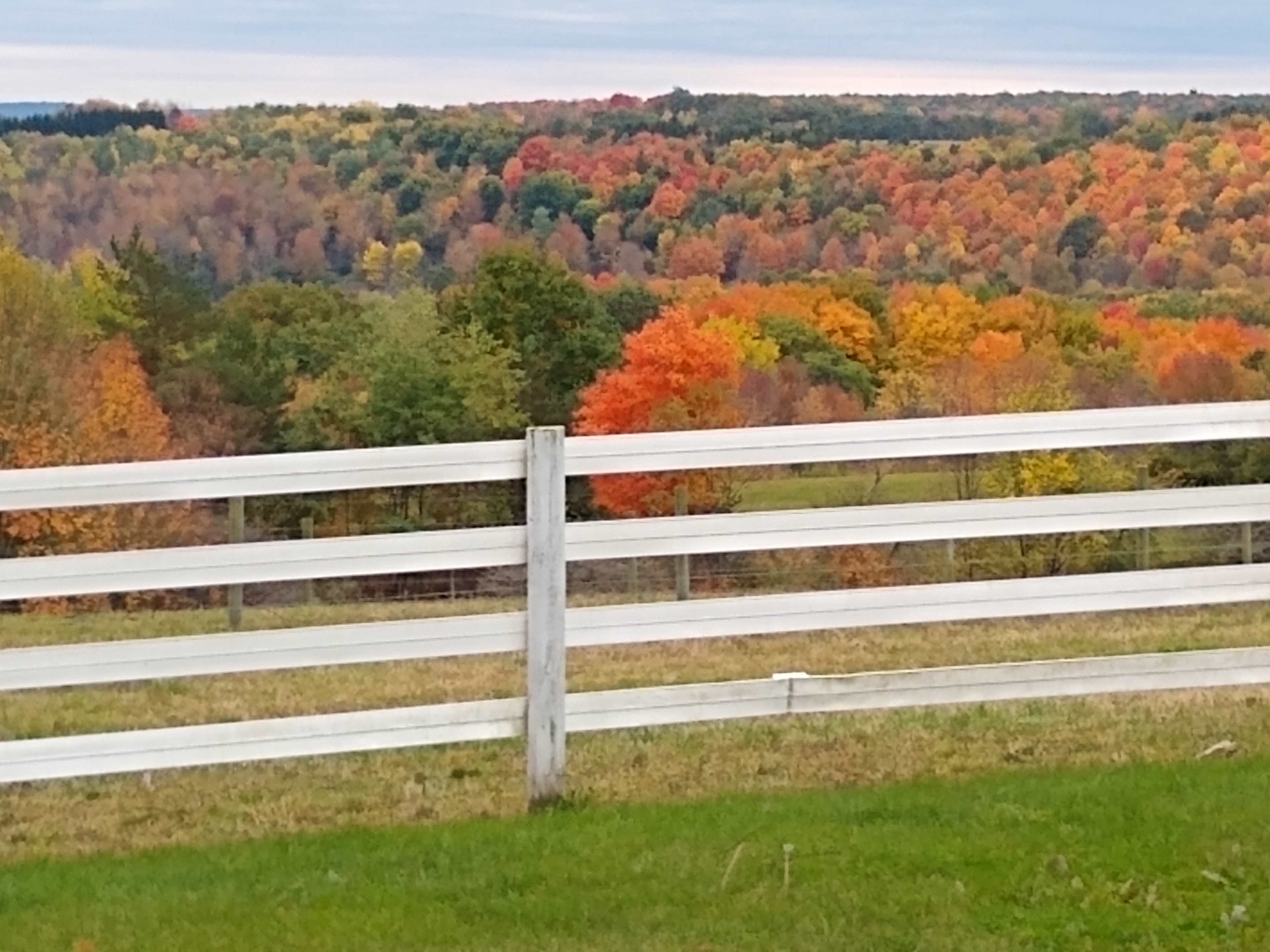 Larch Ridge Ranch
