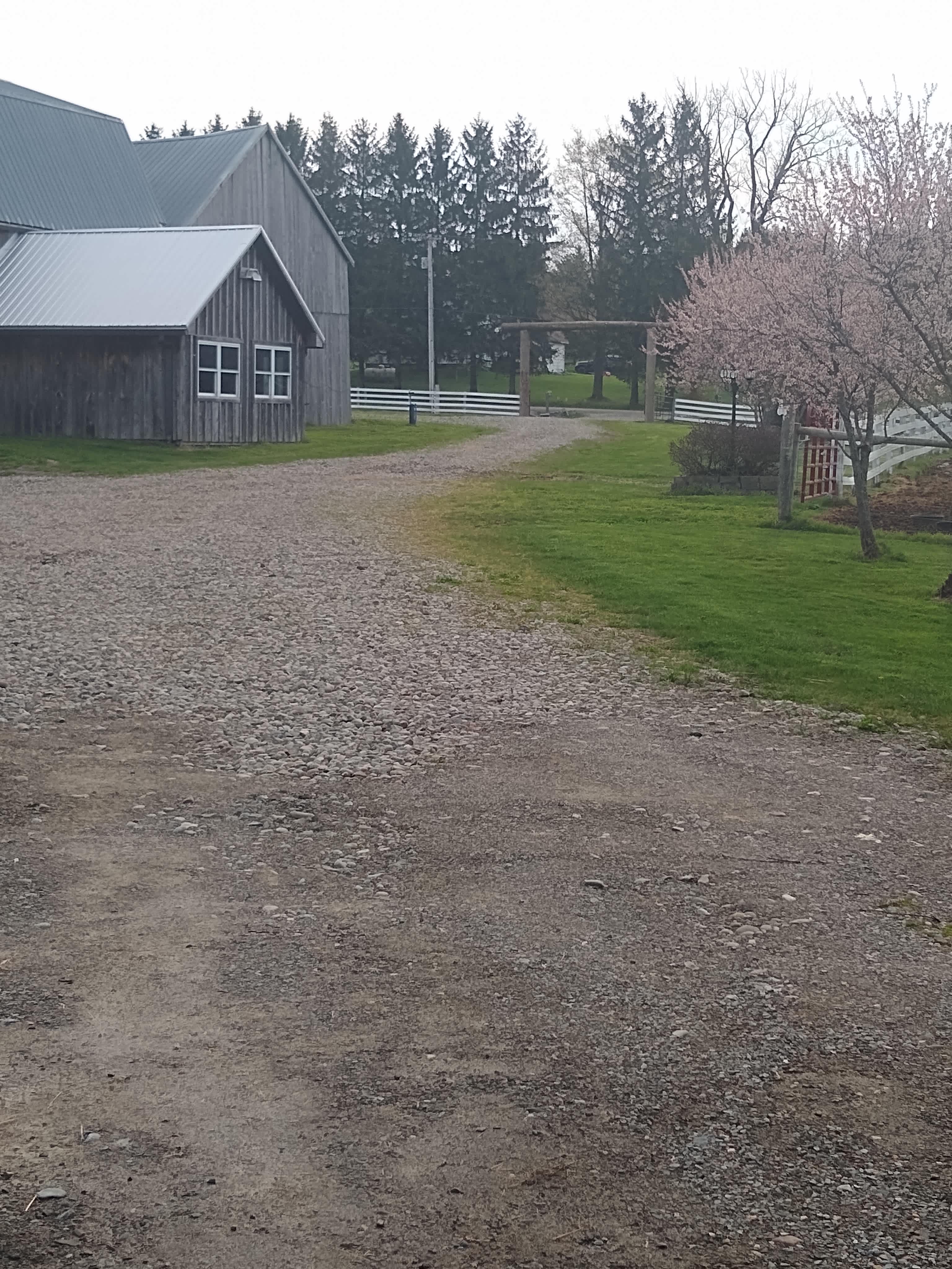 Larch Ridge Ranch