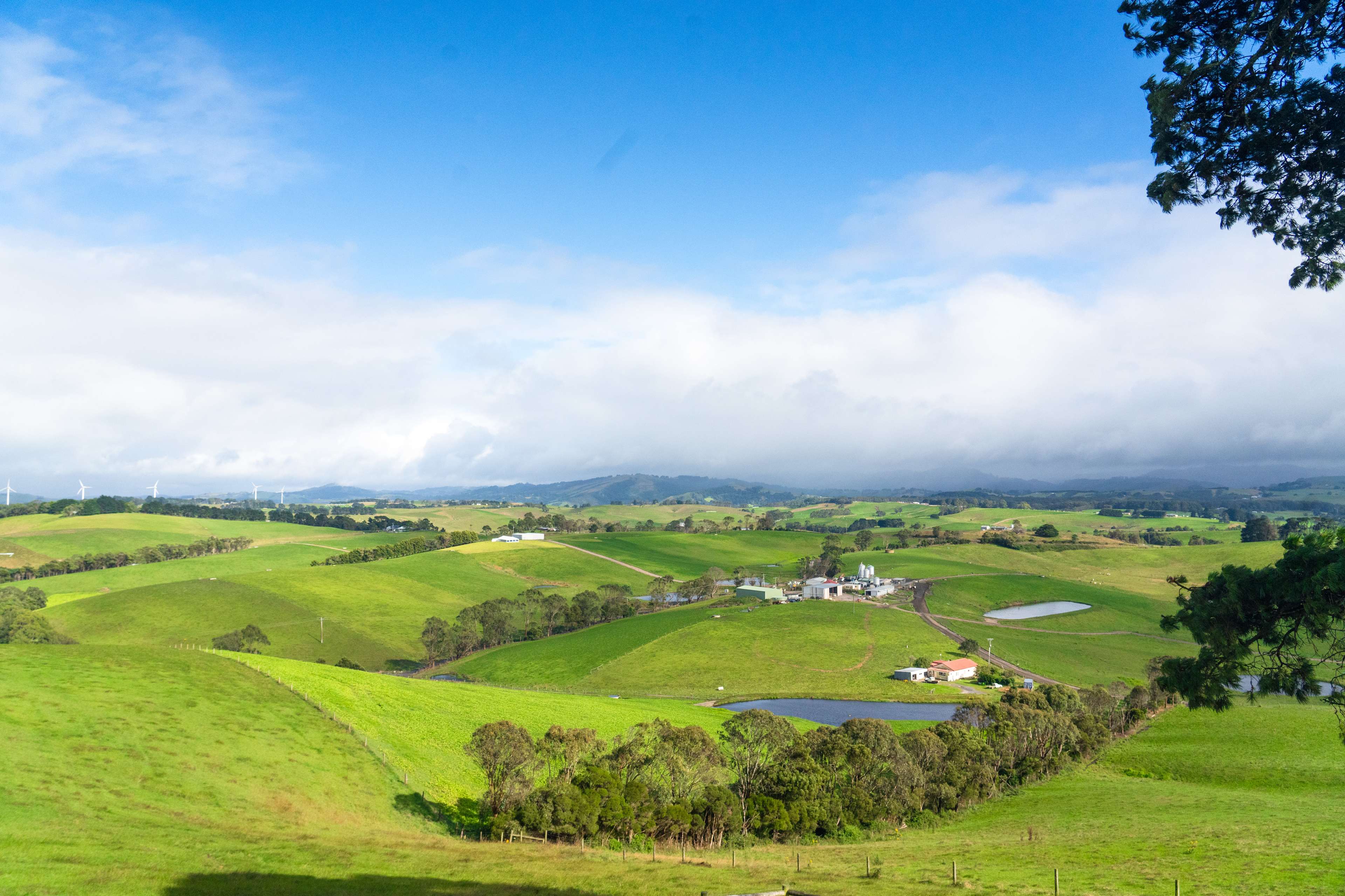 Rolling green hills 