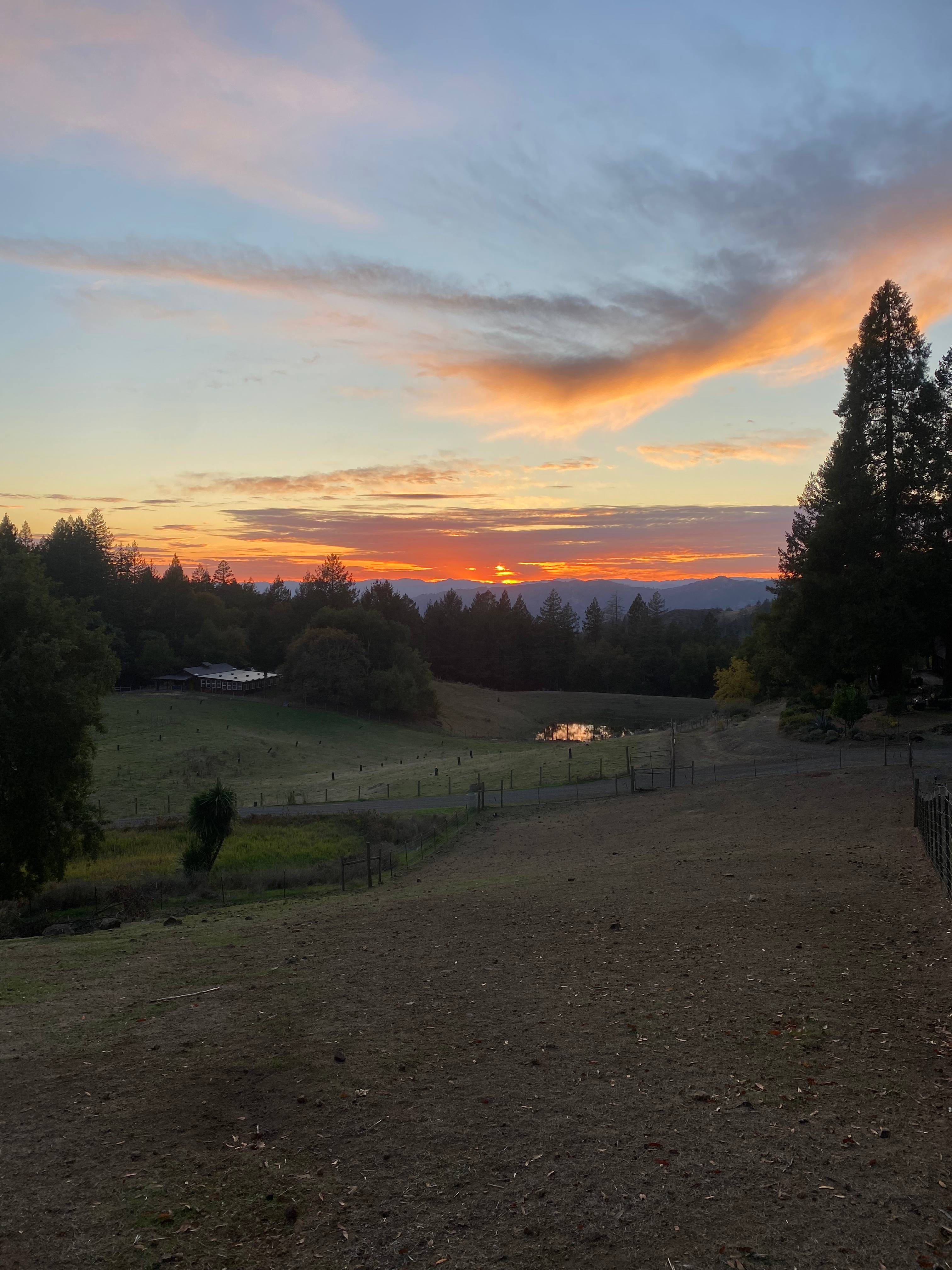 Wild Canyon Ranch CA