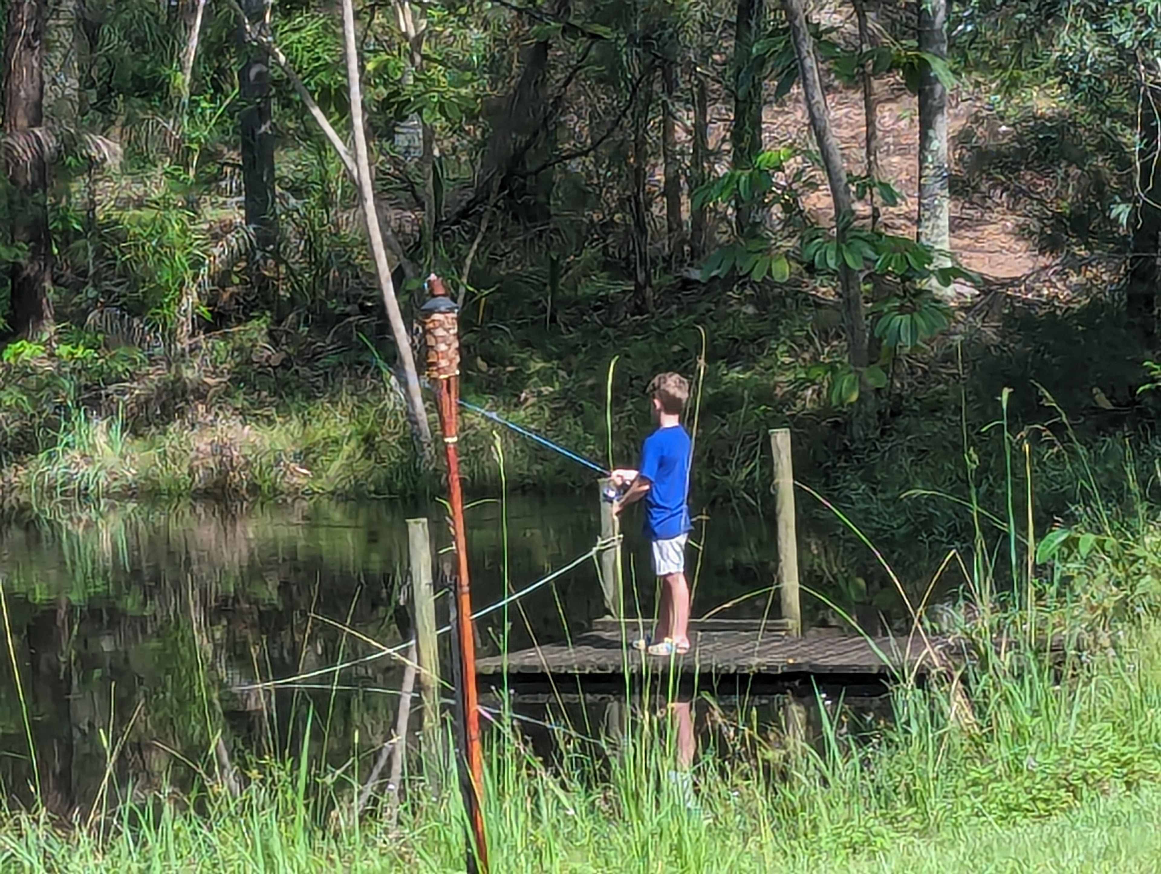 Tranquil Bush Retreat -  Sheldon