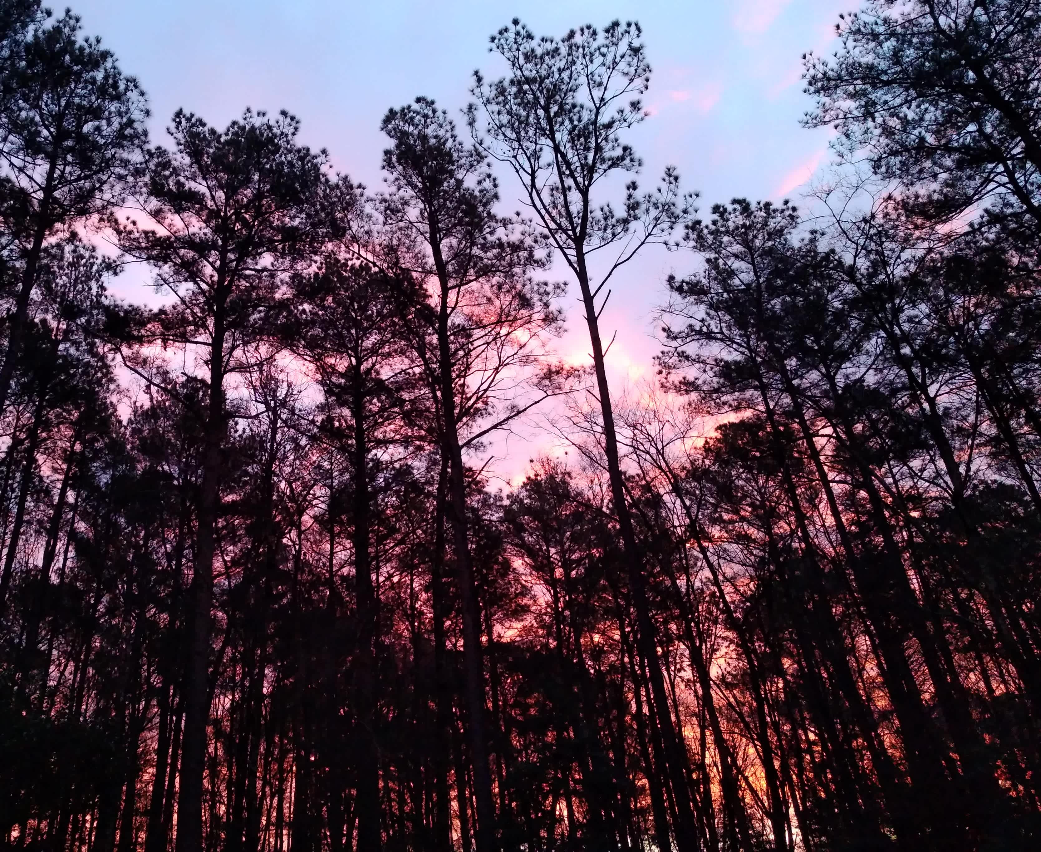 Summer sunrise, what a way to start a day.