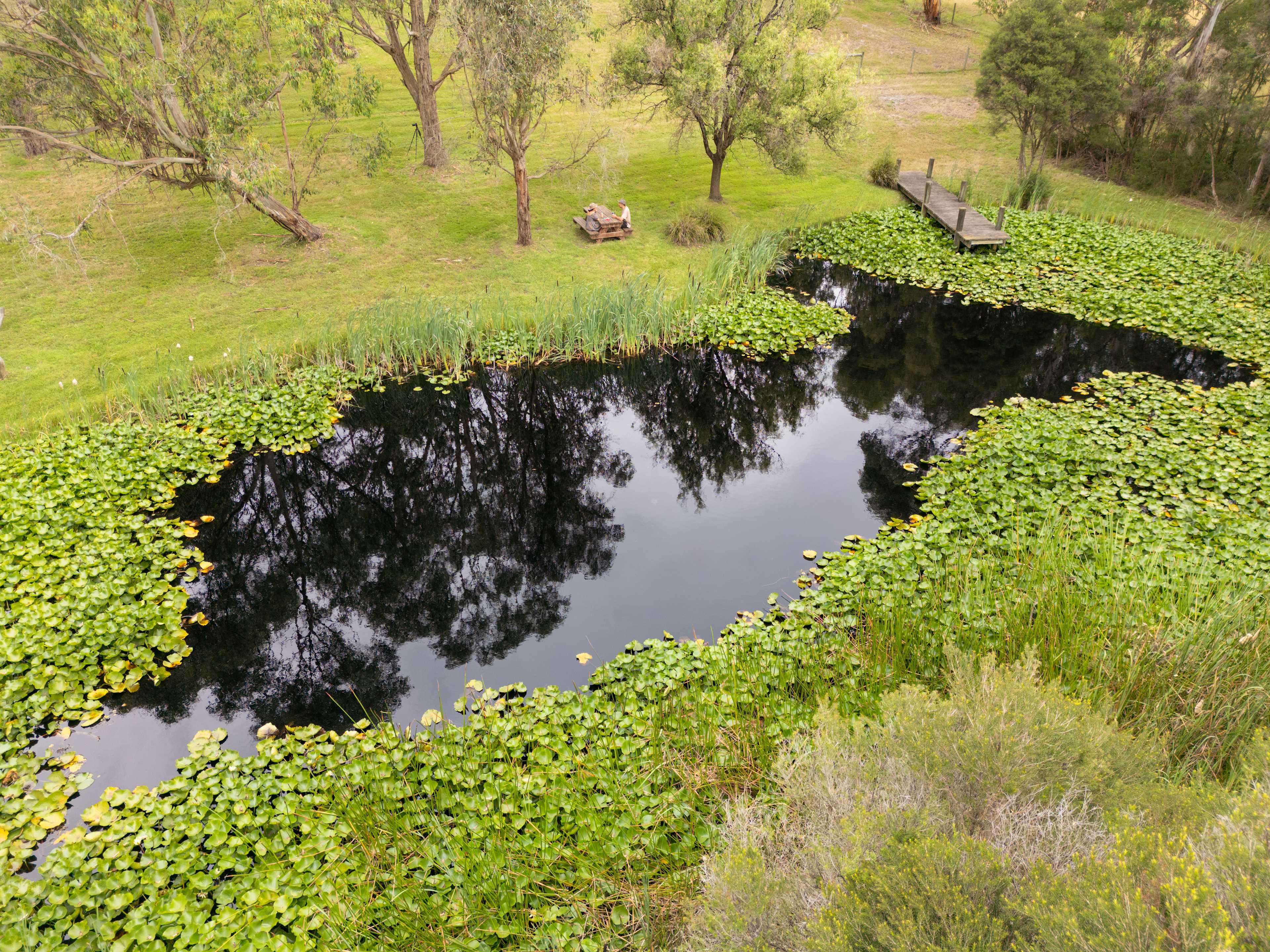 Clancy Springs, South Gippsland