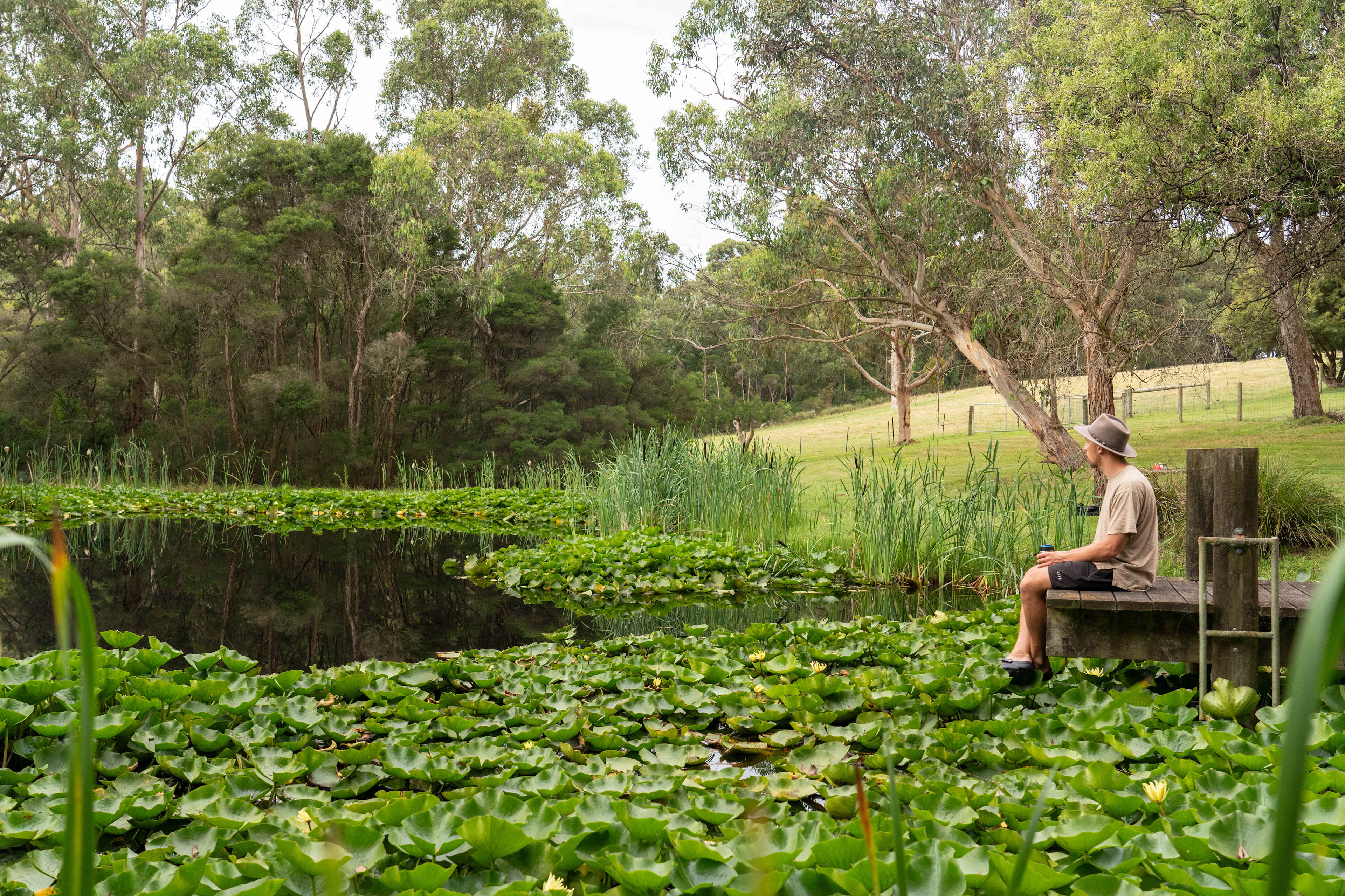 Clancy Springs, South Gippsland