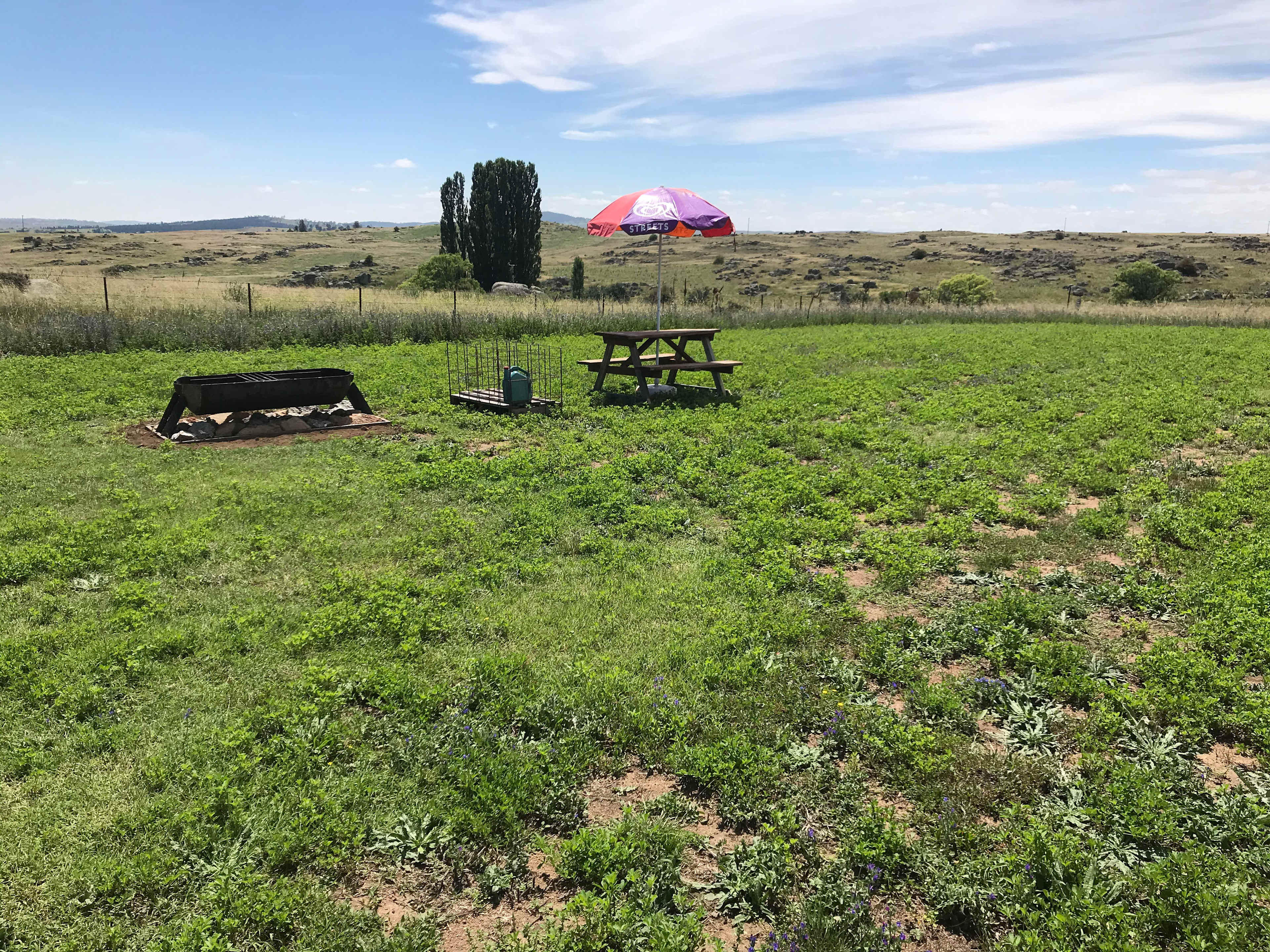 New mega fire pit, wood cage and picnic table summer 2024 looking north east.