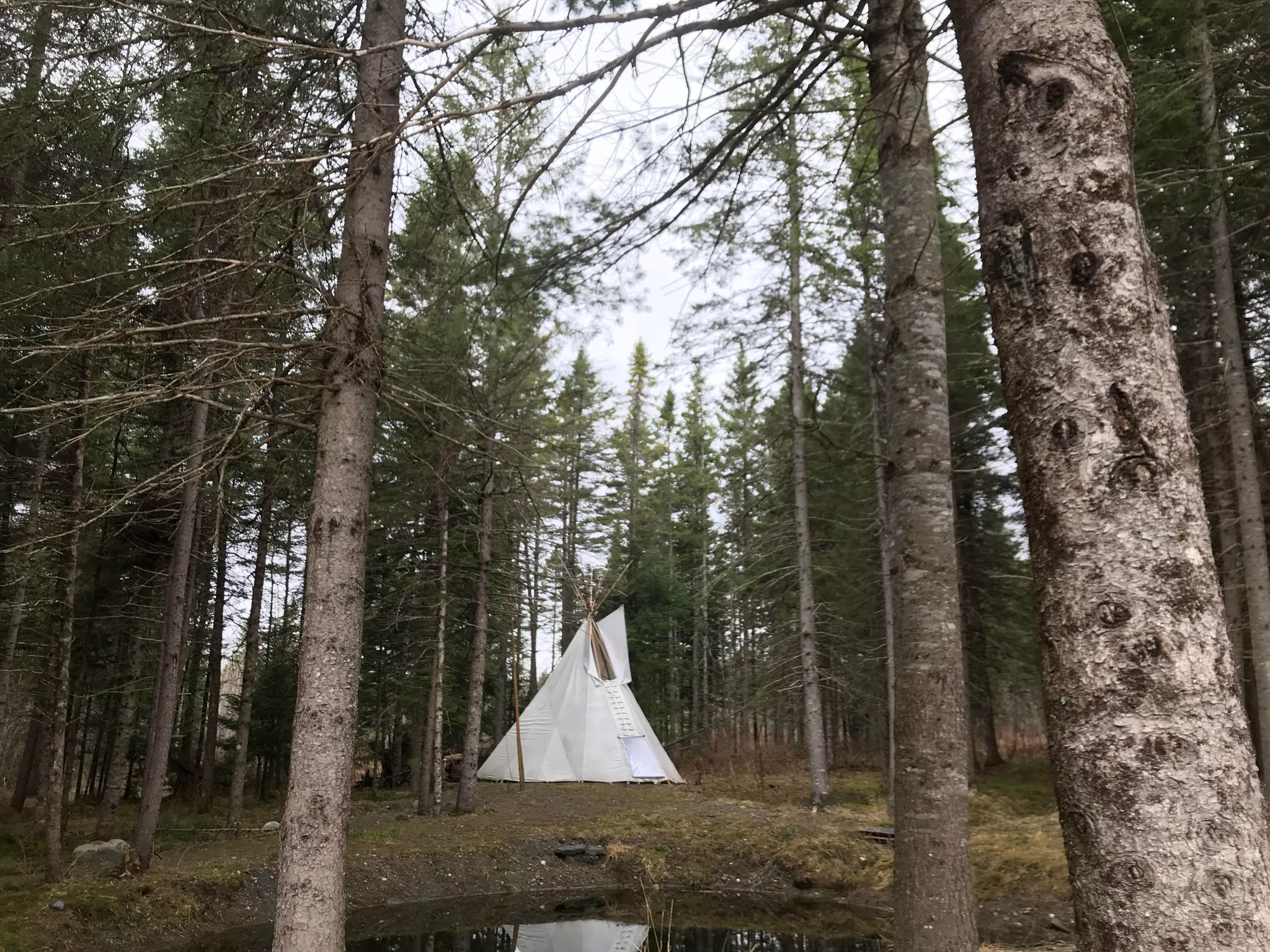 Picture of the site