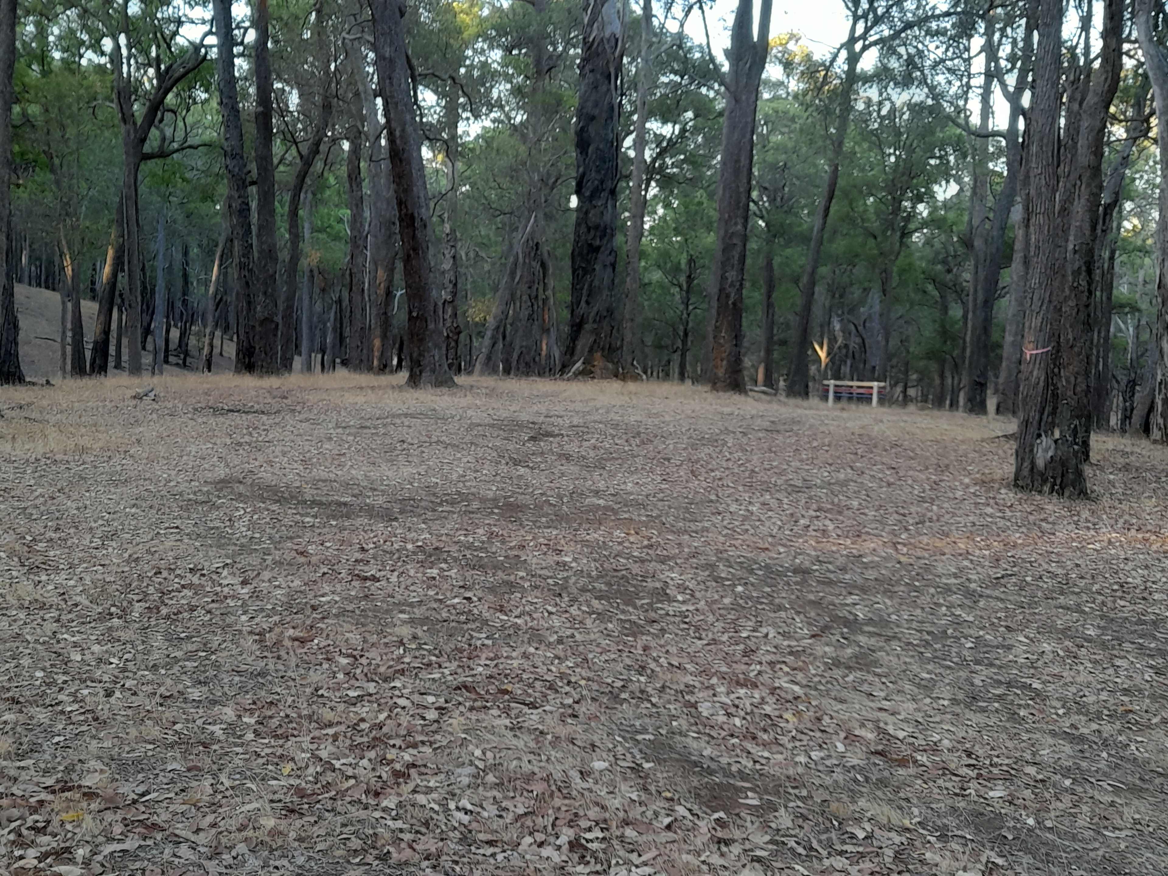 Parkland Bush Camp Mapanap