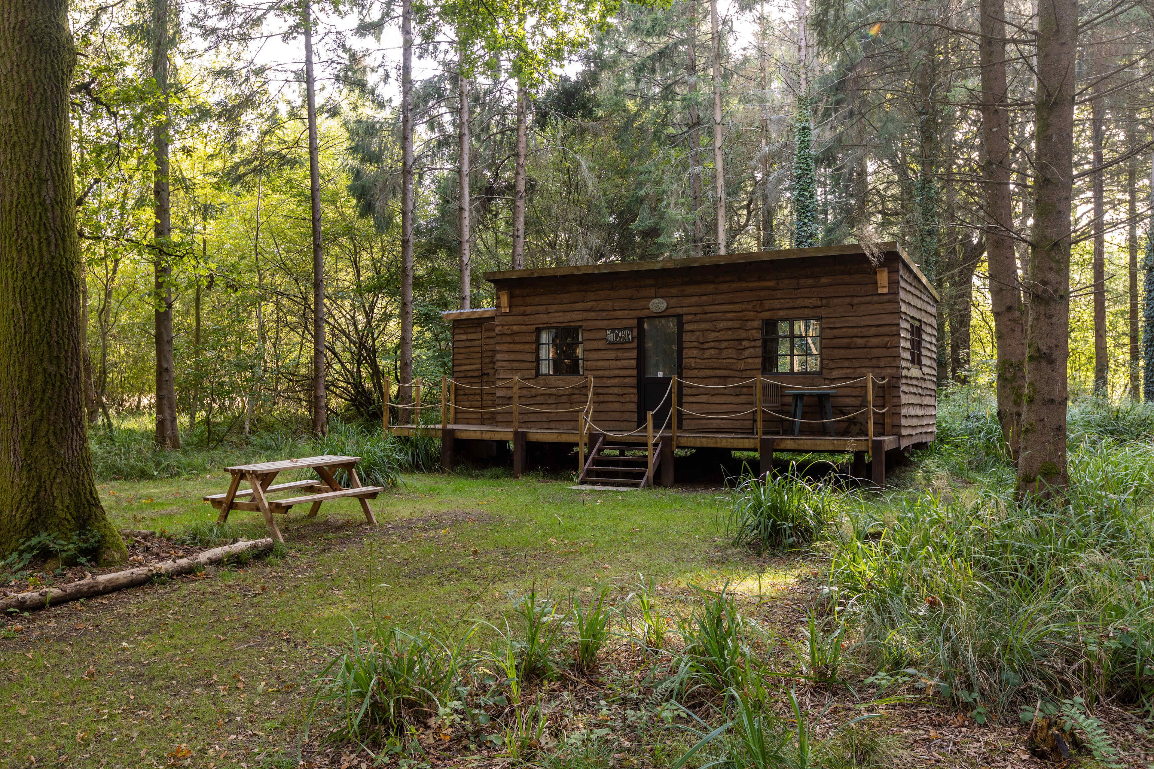 Bridgewood Camping - Woodland camps