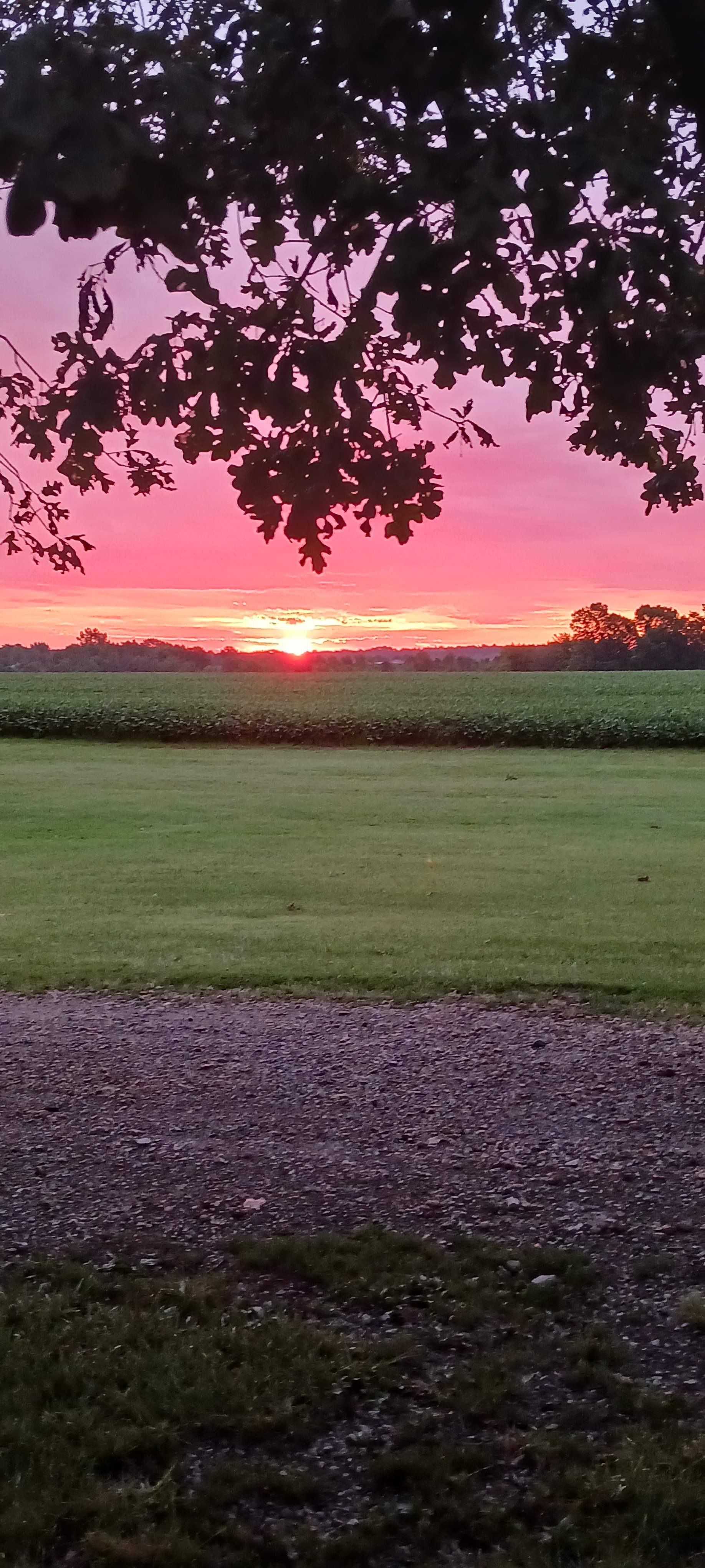 Vogt Farm