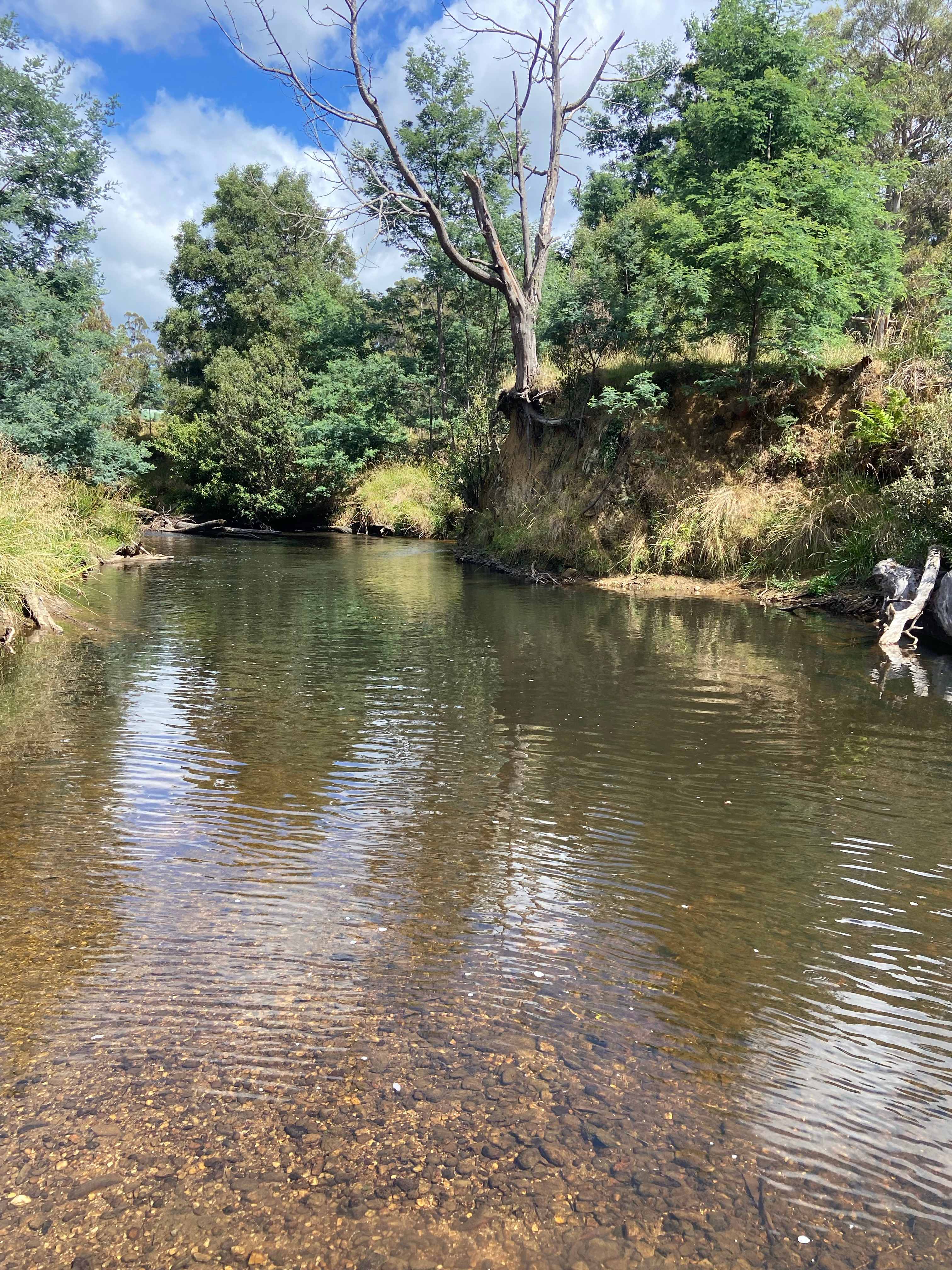 Inglis River Caravan and Camping