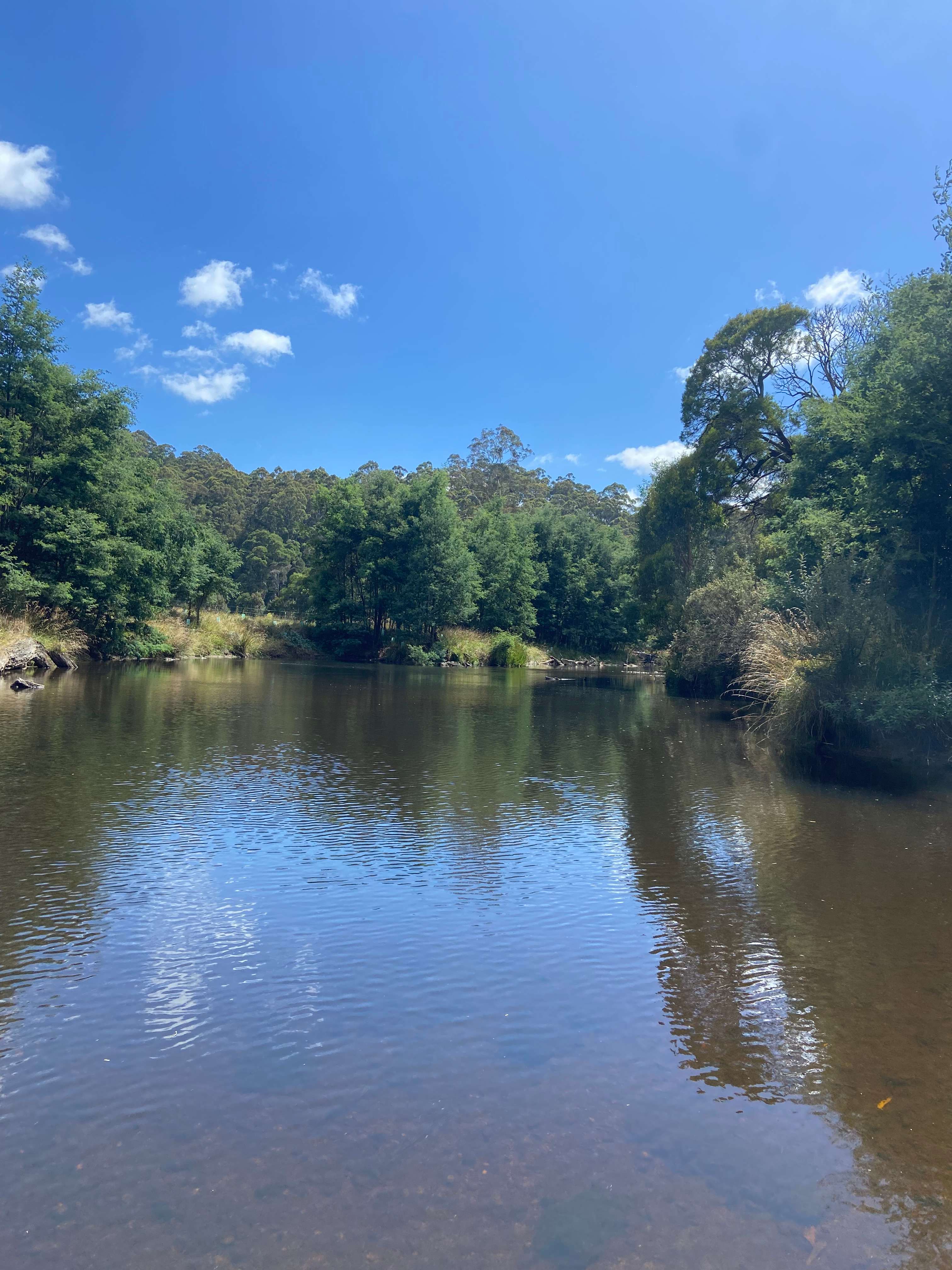 Inglis River Caravan and Camping