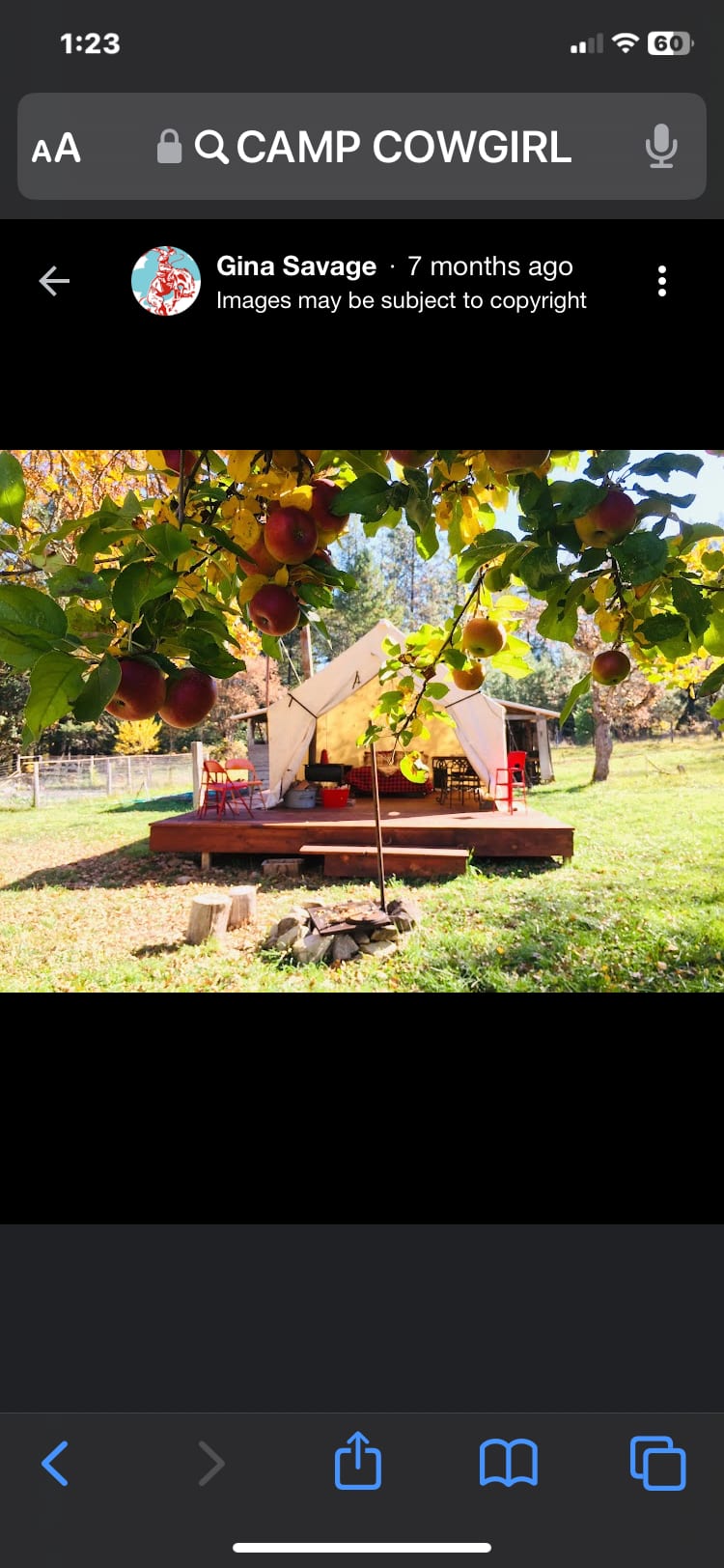 Cozy Glamping tent