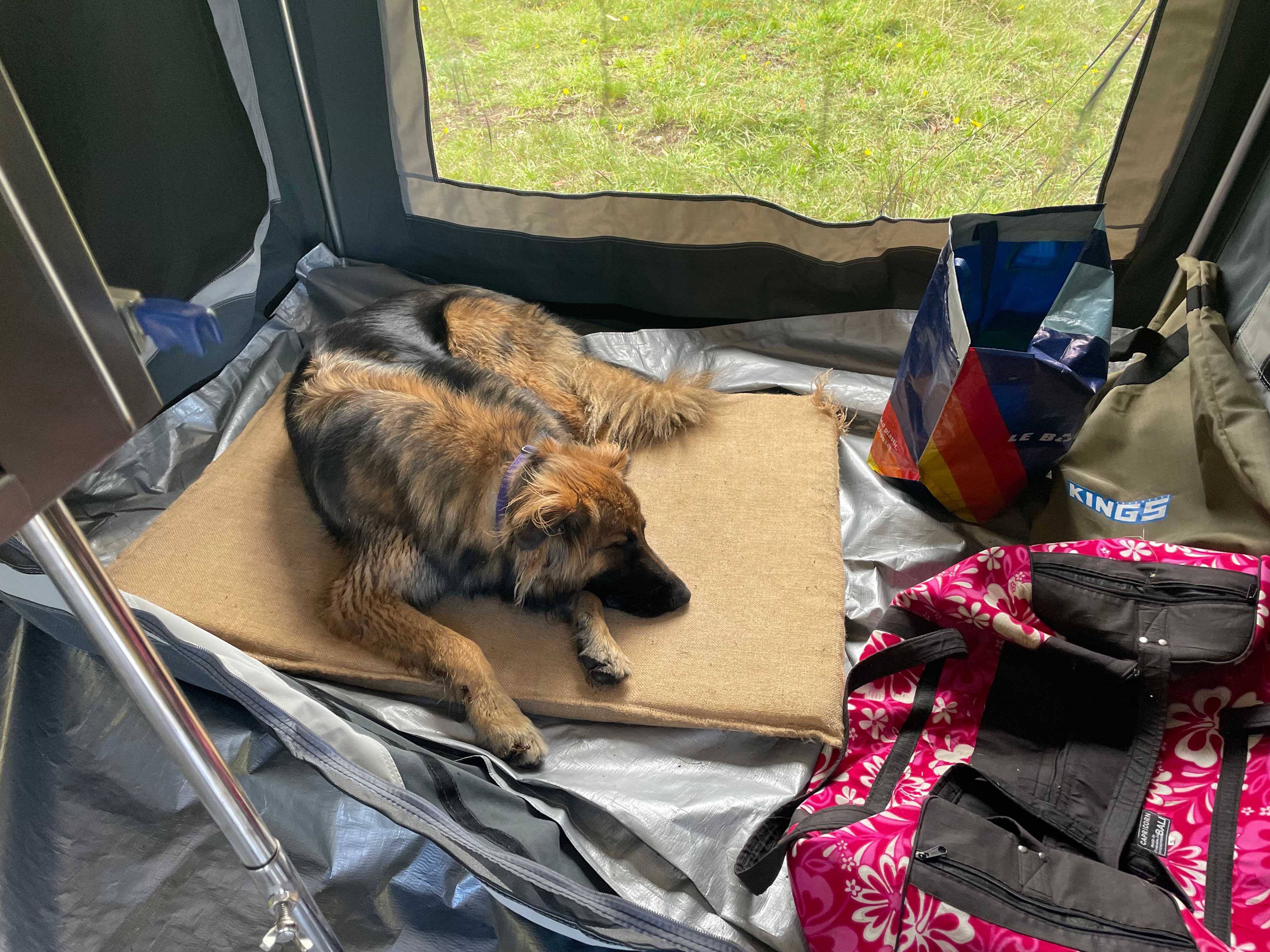 Reedy Creek Camping