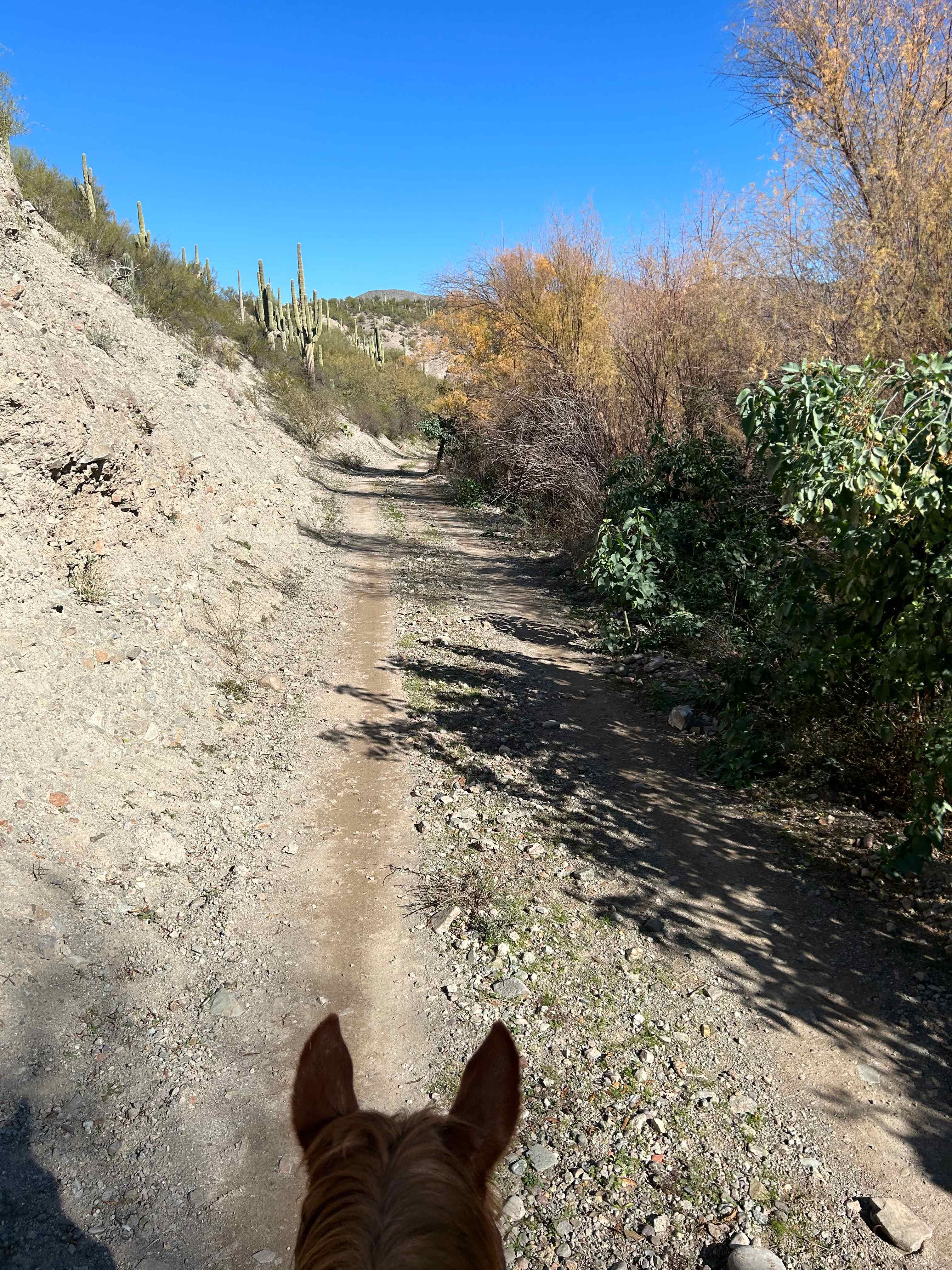 Gila River View