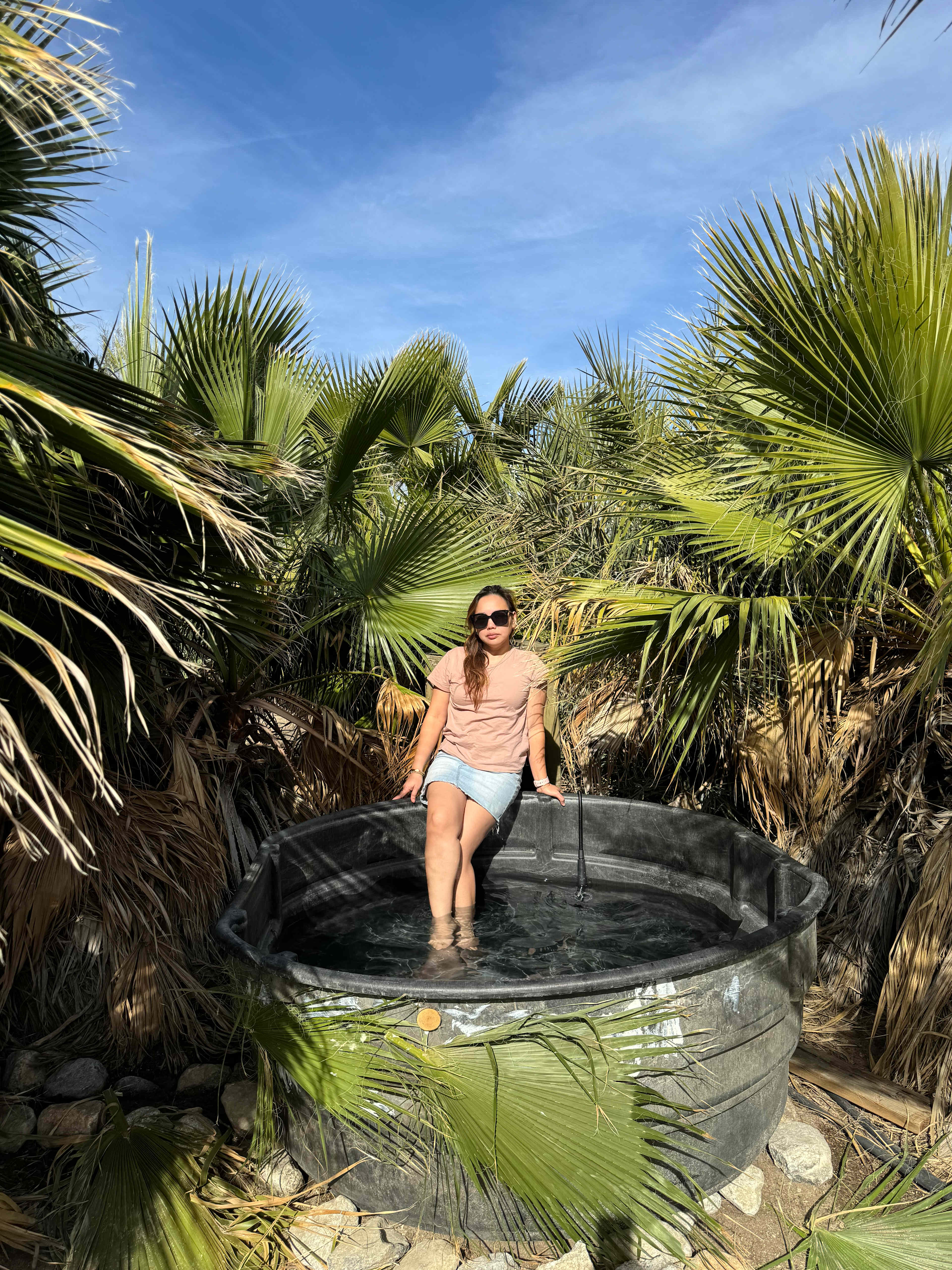 Mineral Spring Date Farm