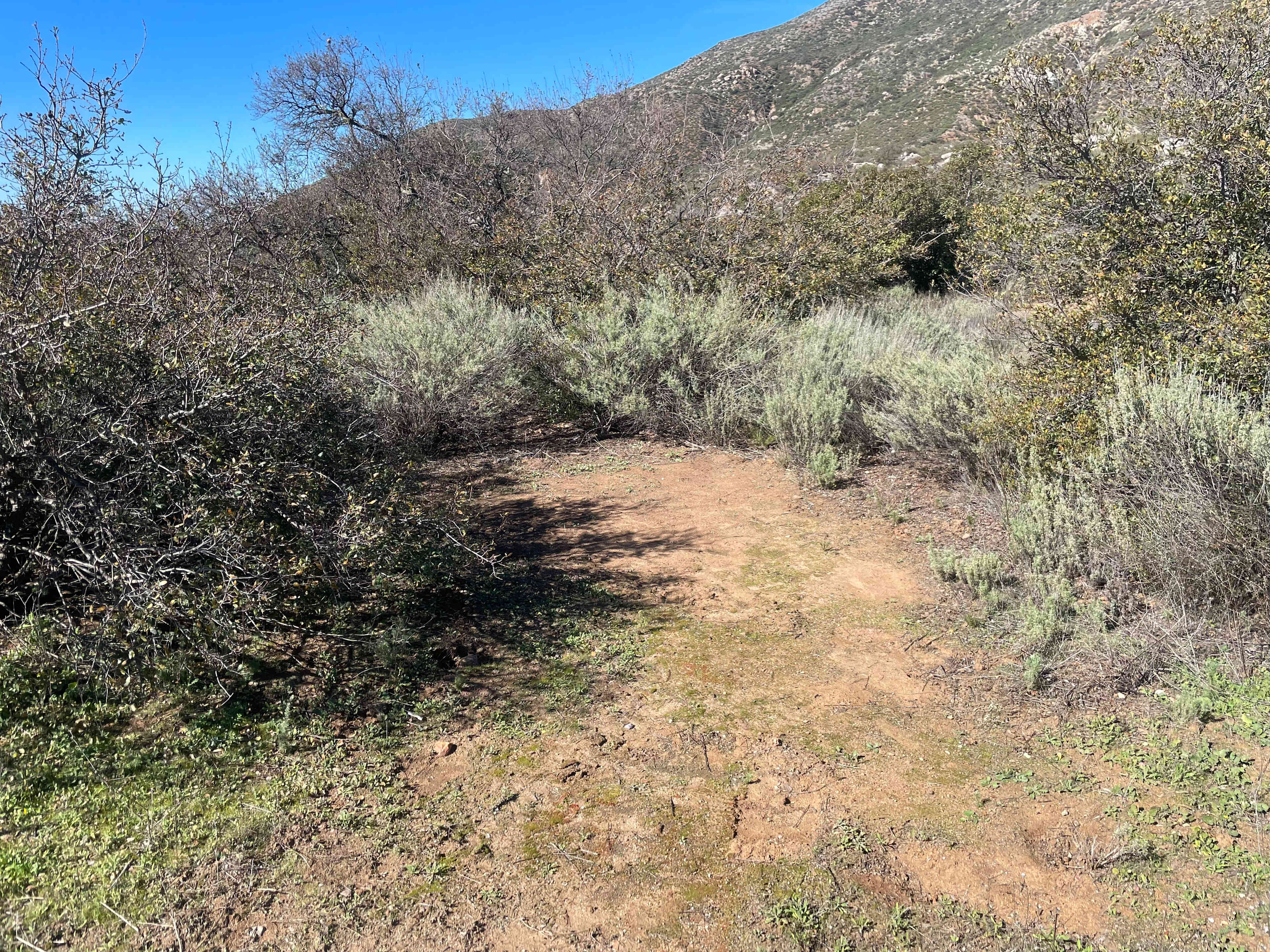 Sage Haven Ranch