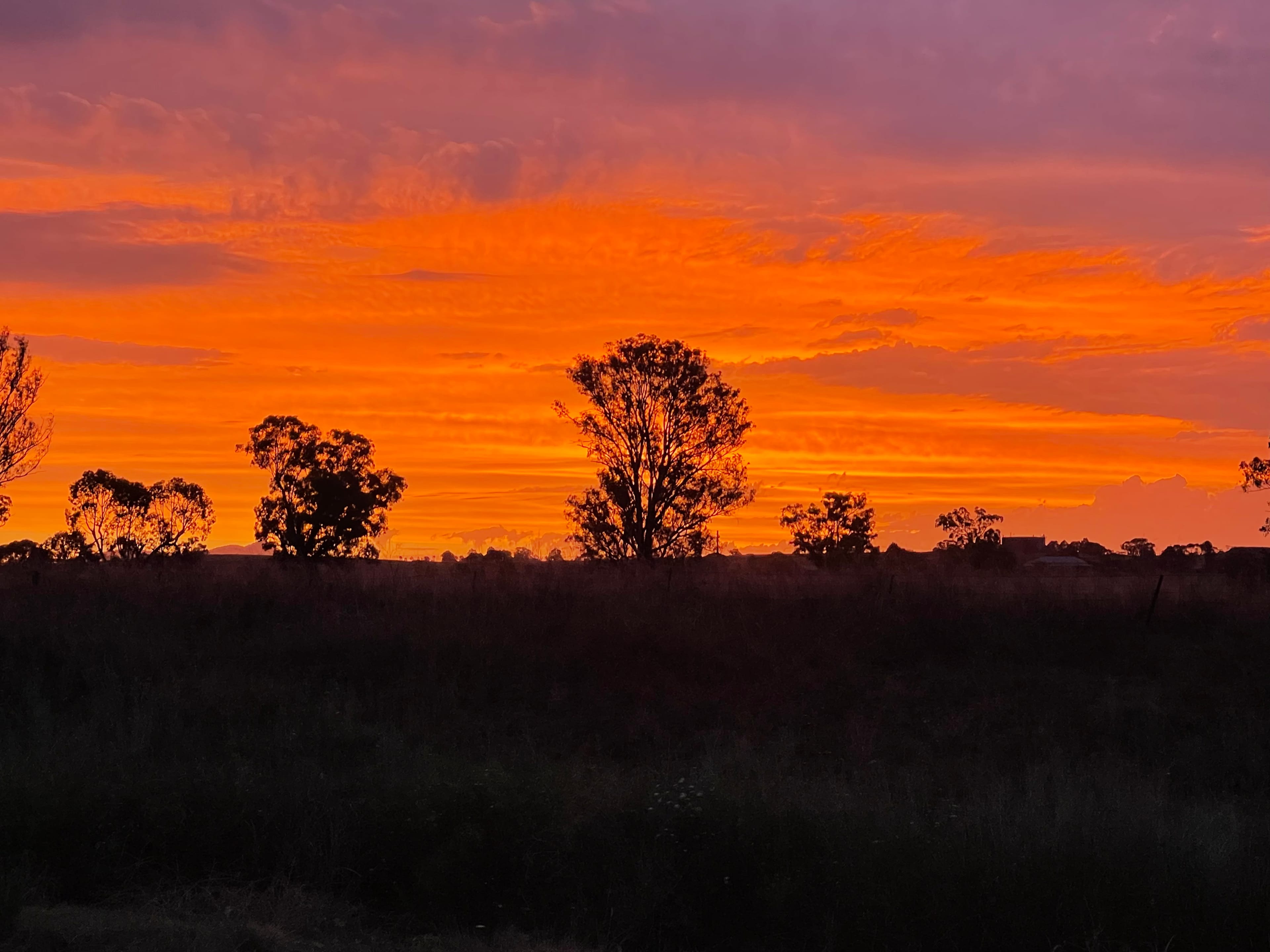 Lovely sunsets