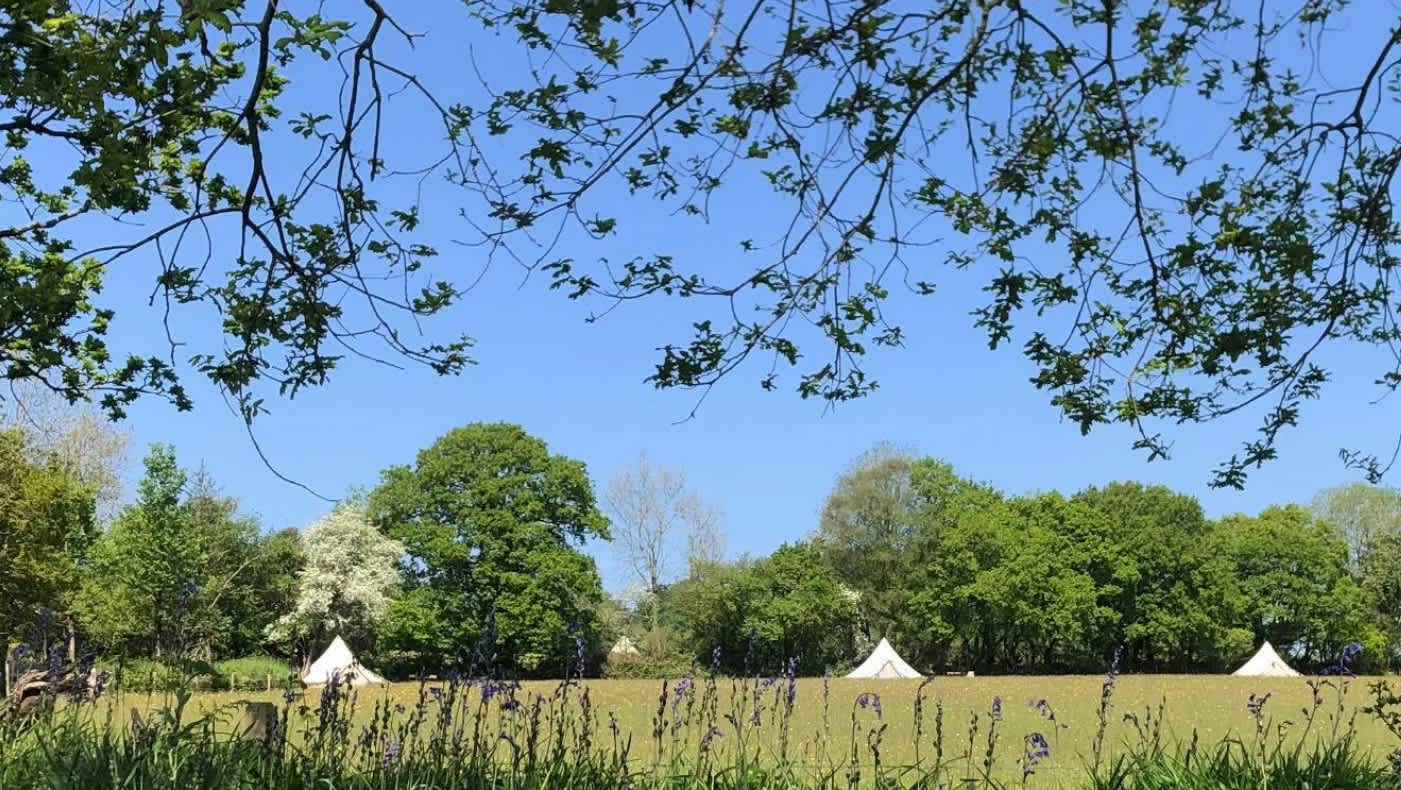 view from the pitch.  you have your own Oak tree and small table and wooden stumps for seats. 