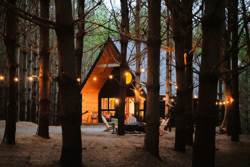 Conversation Pit : Secluded Cabin
