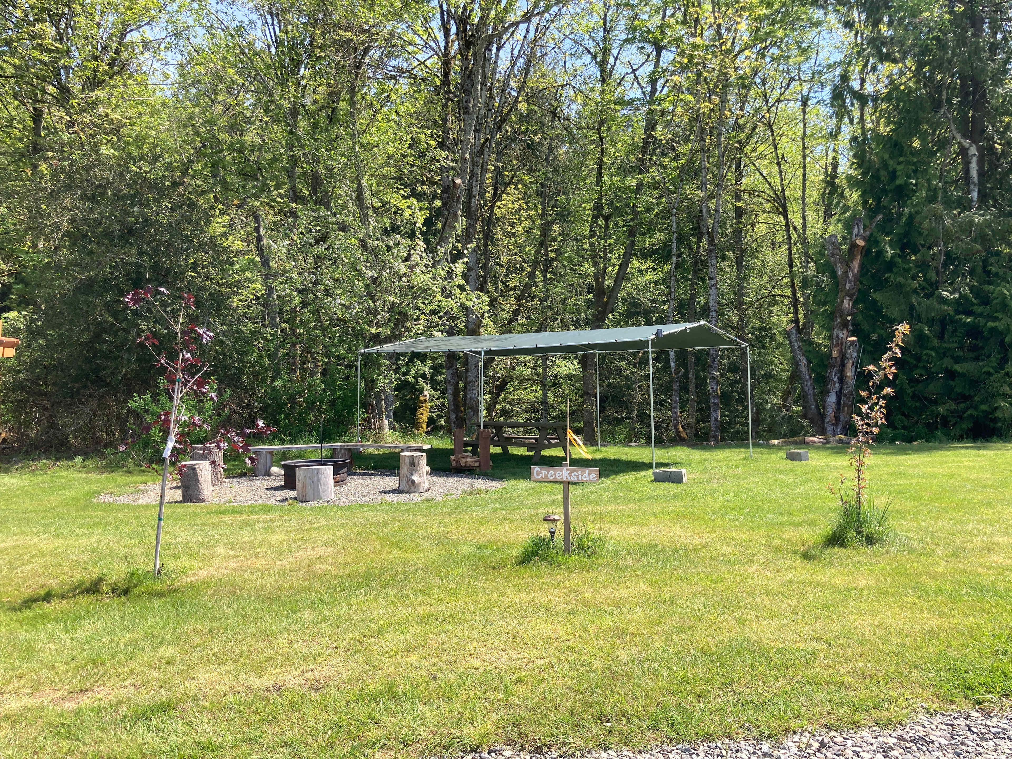 Picture of the site