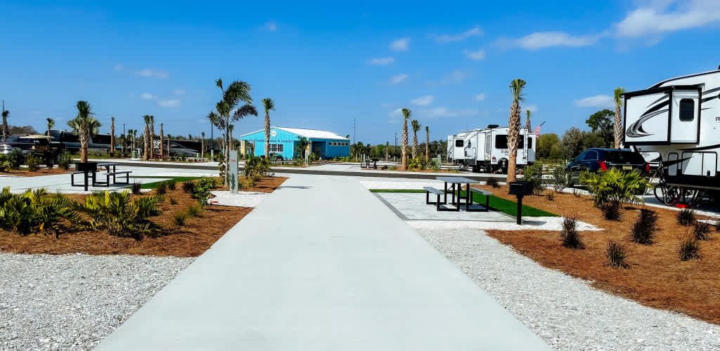 Picture of the site