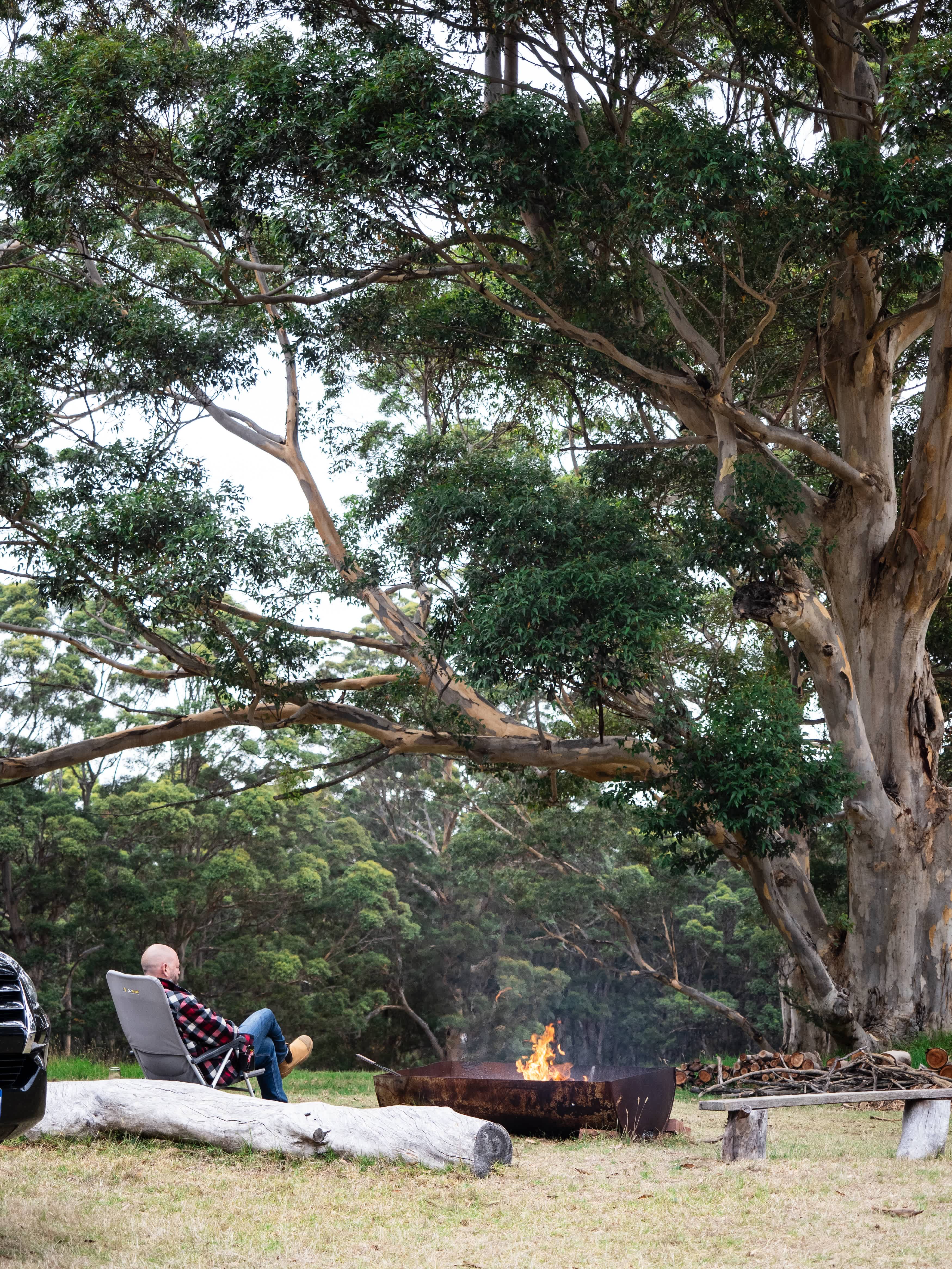 Relaxing on the hilltop site, taking in the view out over the tree to the ocean.