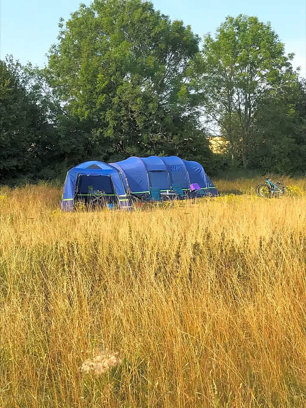 Barn Owl Camping