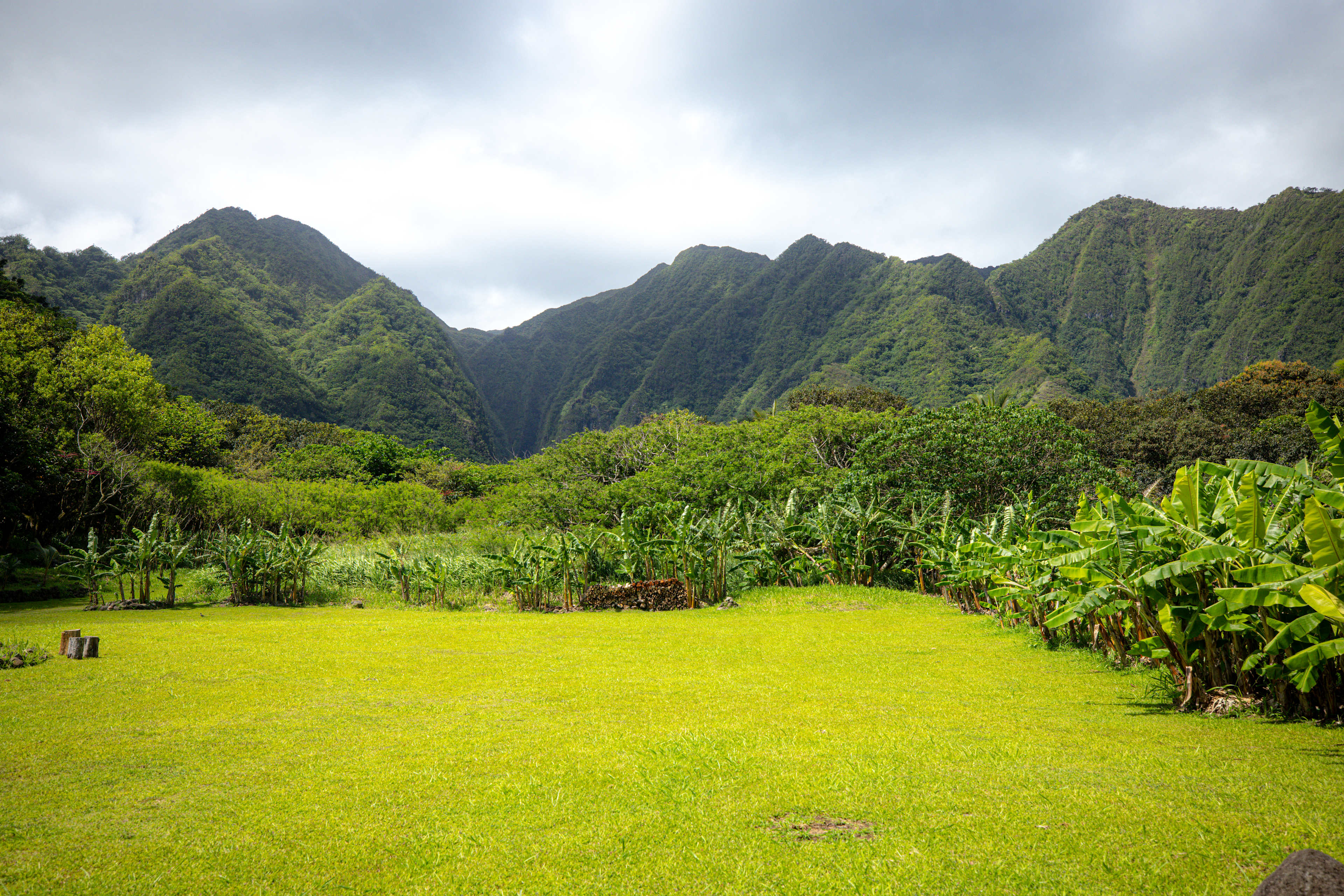 Malama Aina Retreat - Oahu