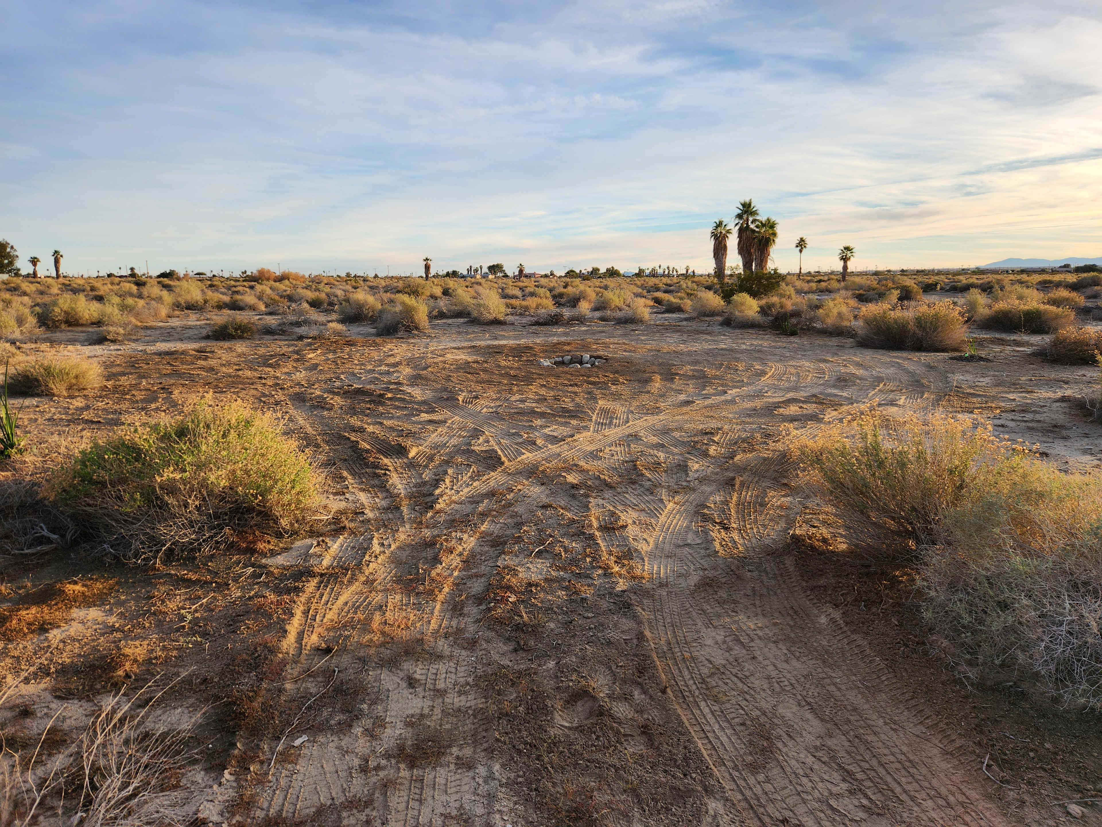 Salton Sea Sanctuary