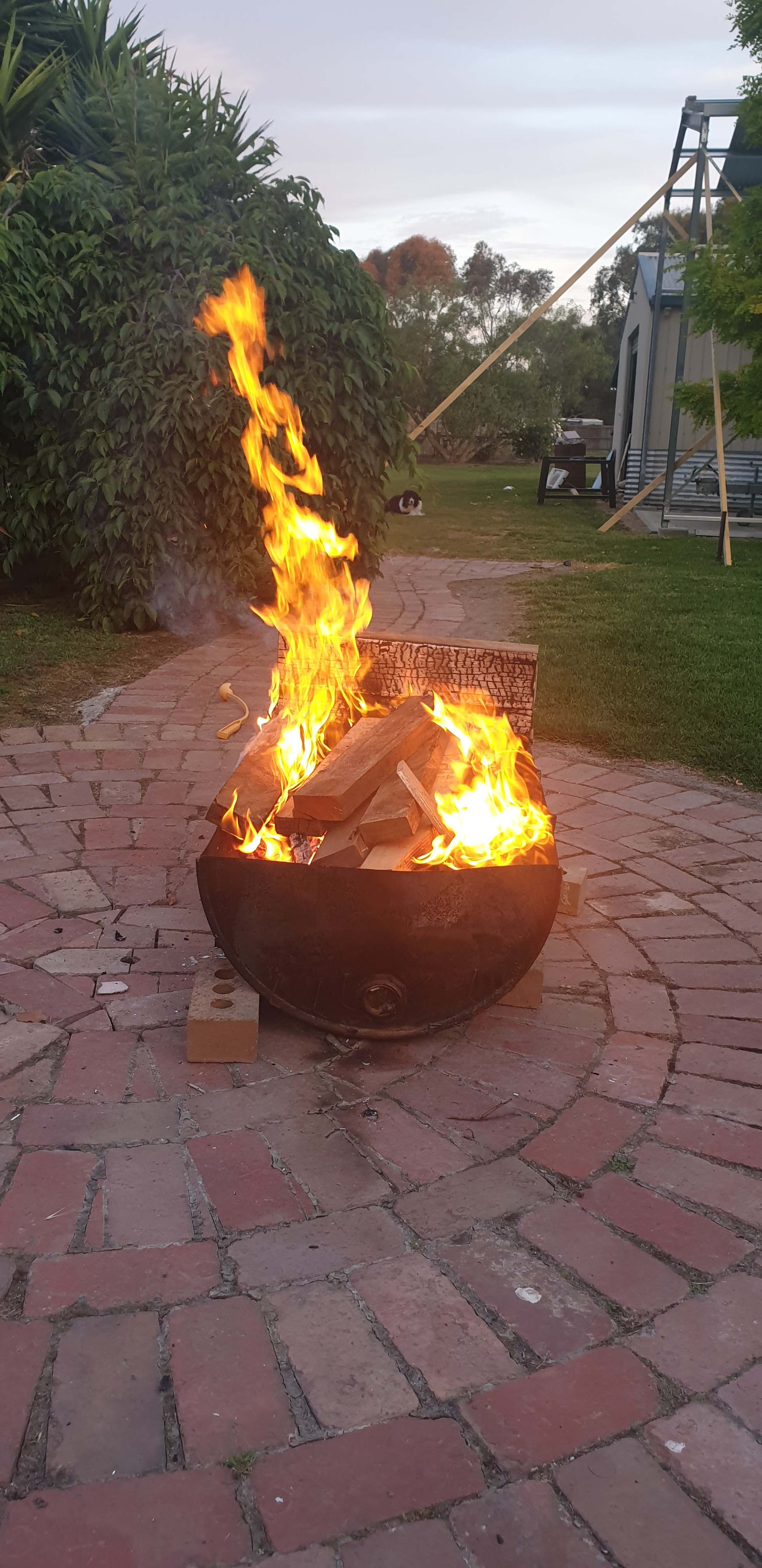 Camping on Coppards