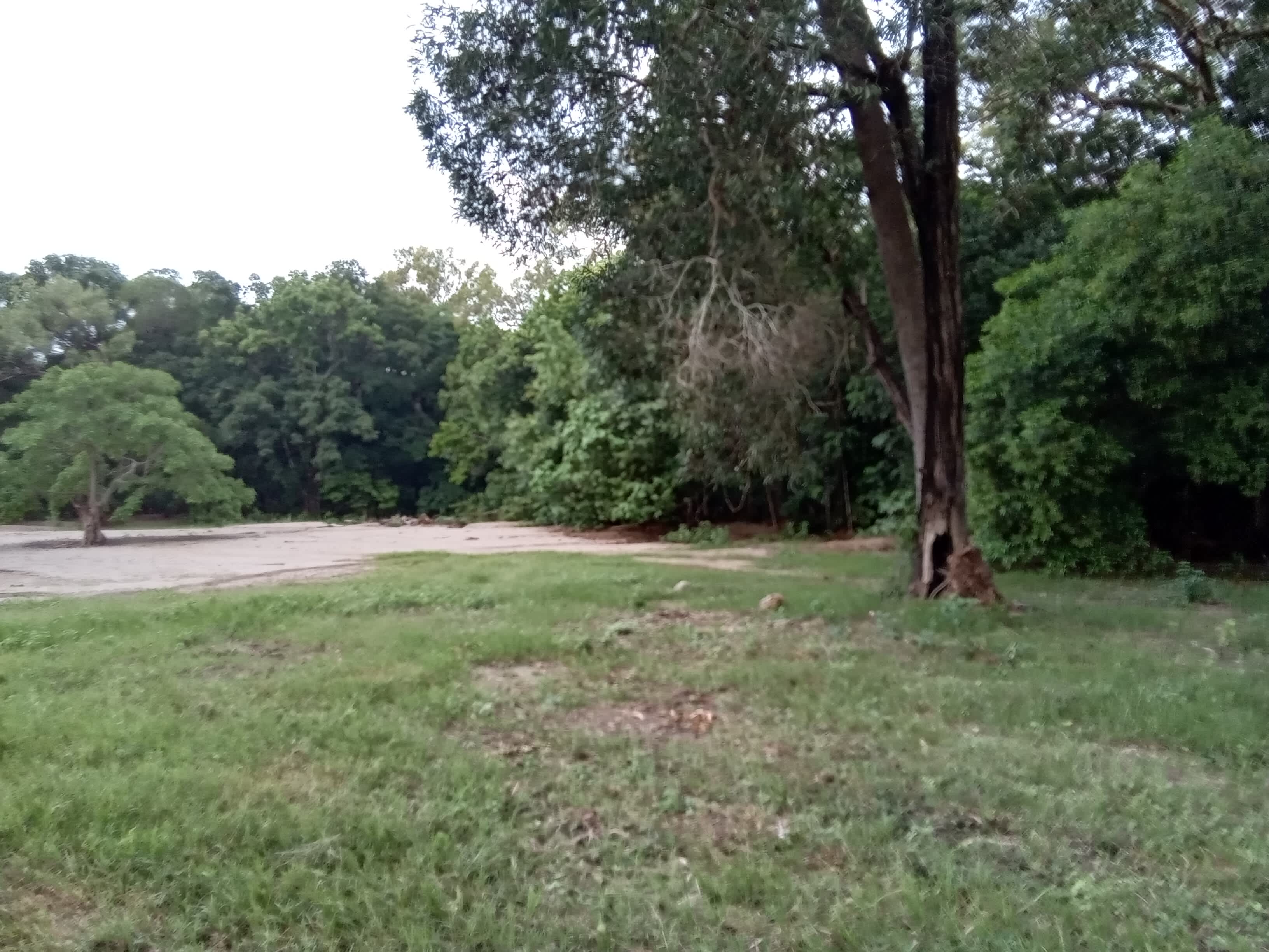It has a sandy spot in camp site No.7
