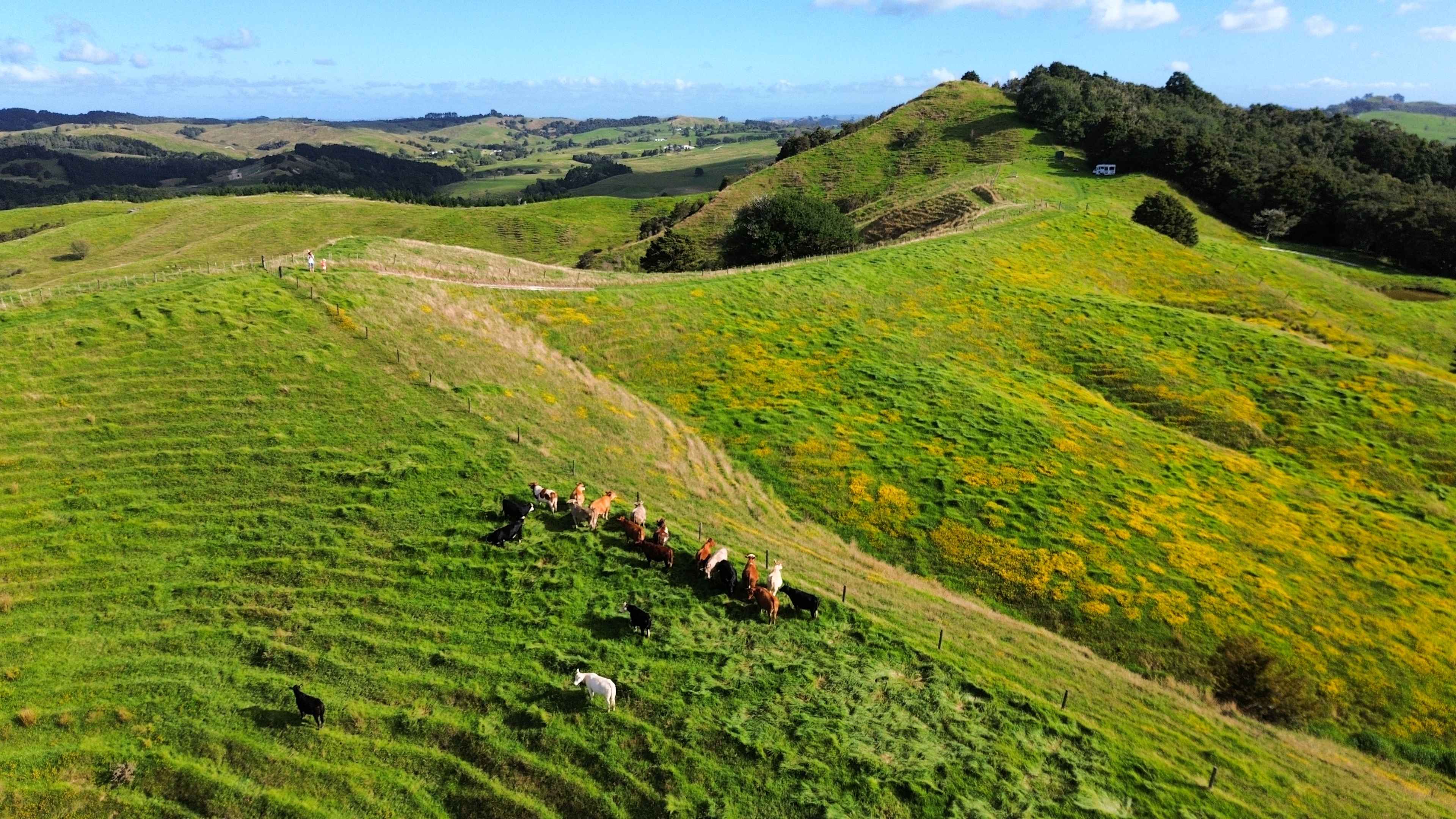 Hideaway Ranch