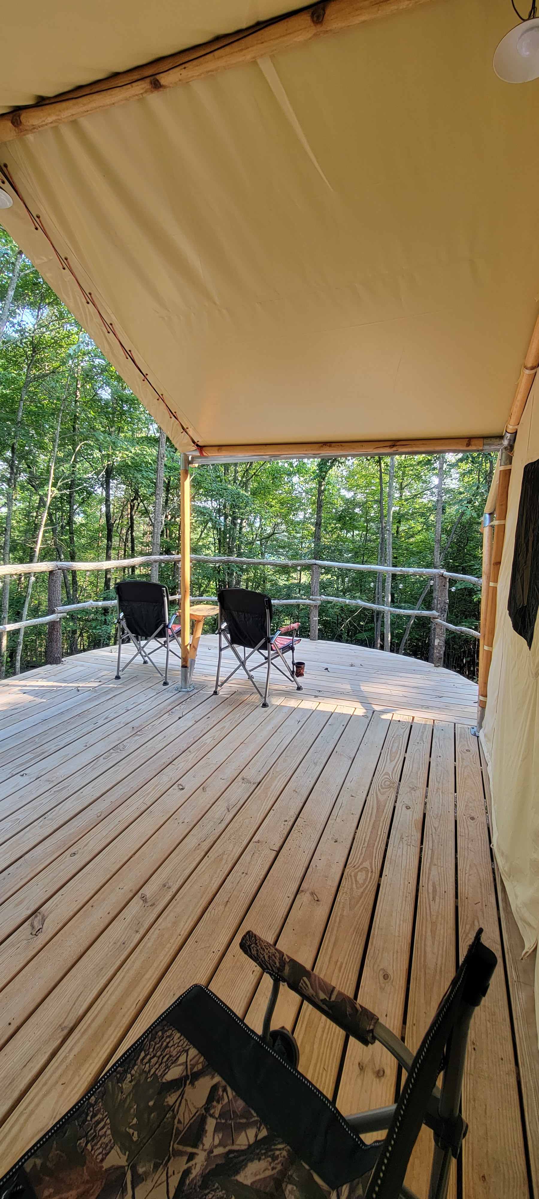 Take a Hike on a Wild side! Camping