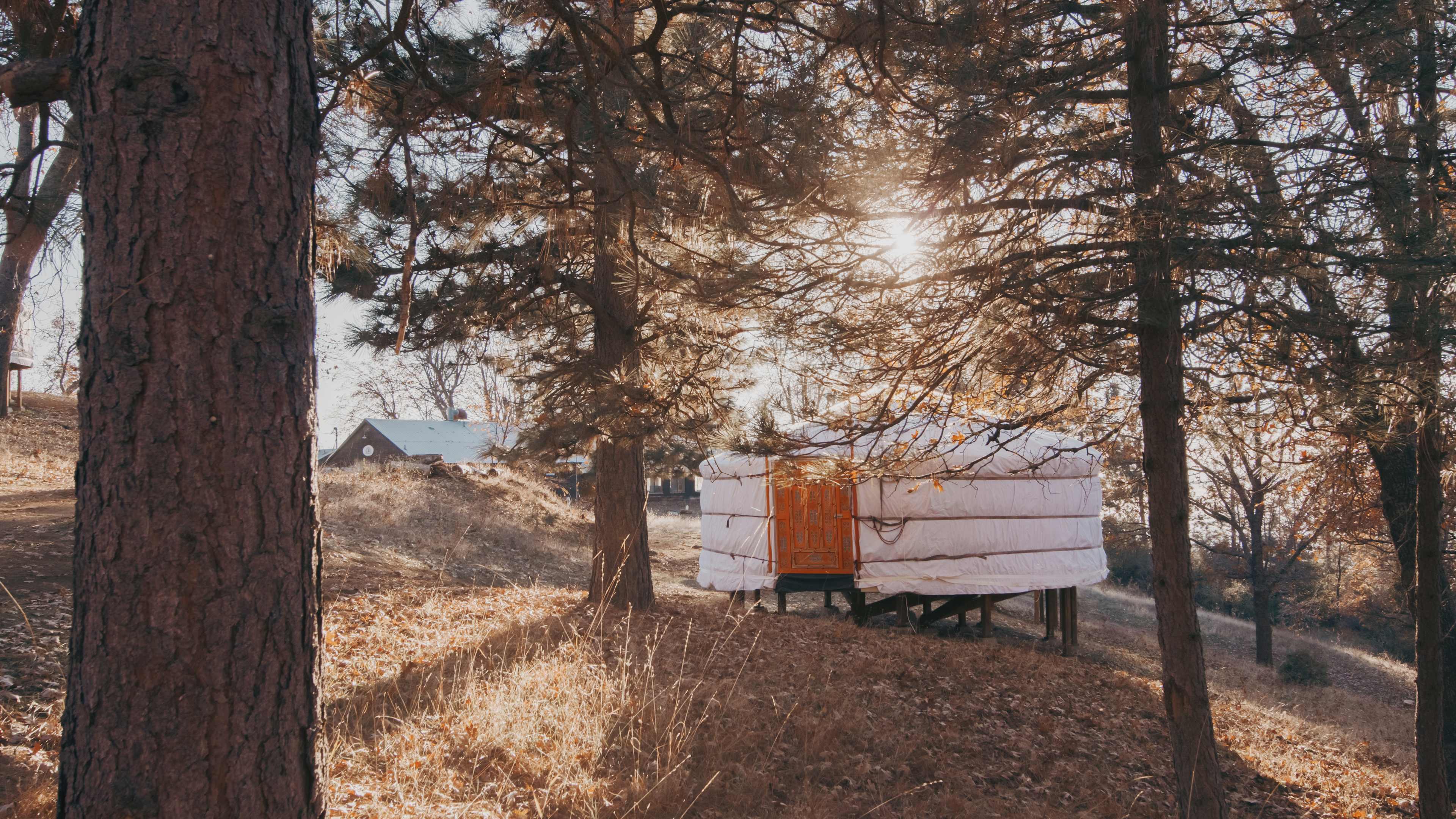 Sequoia Highland Camp