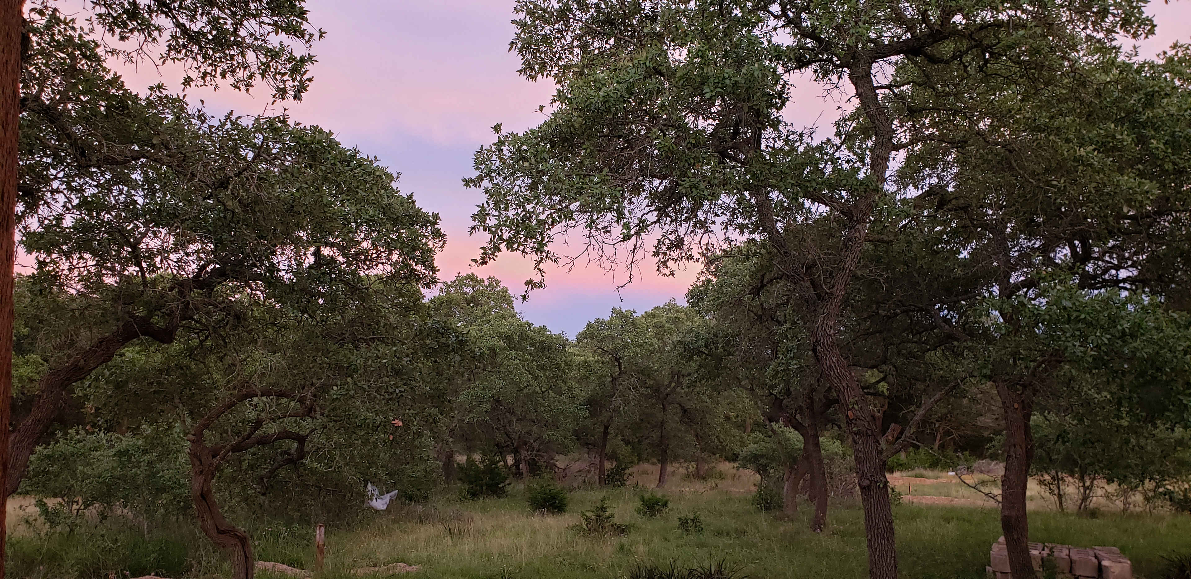 Beautiful sunsets