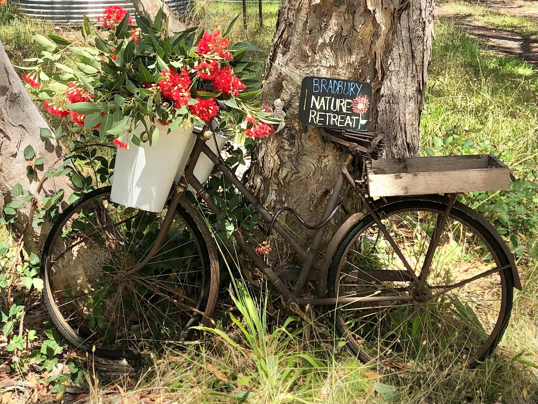 You will find this bike at the Campsite entrance
