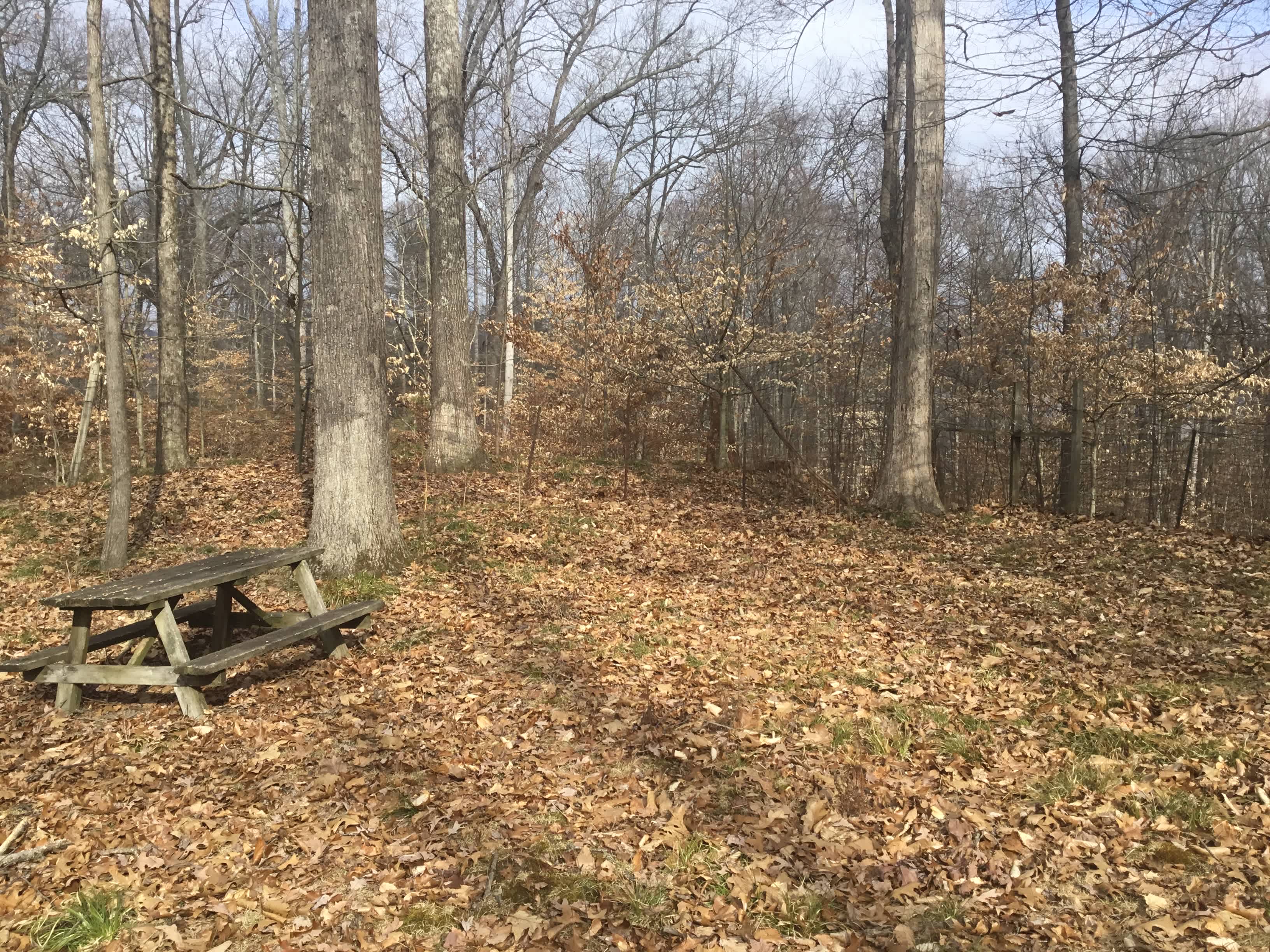 Lake Lemon Camping