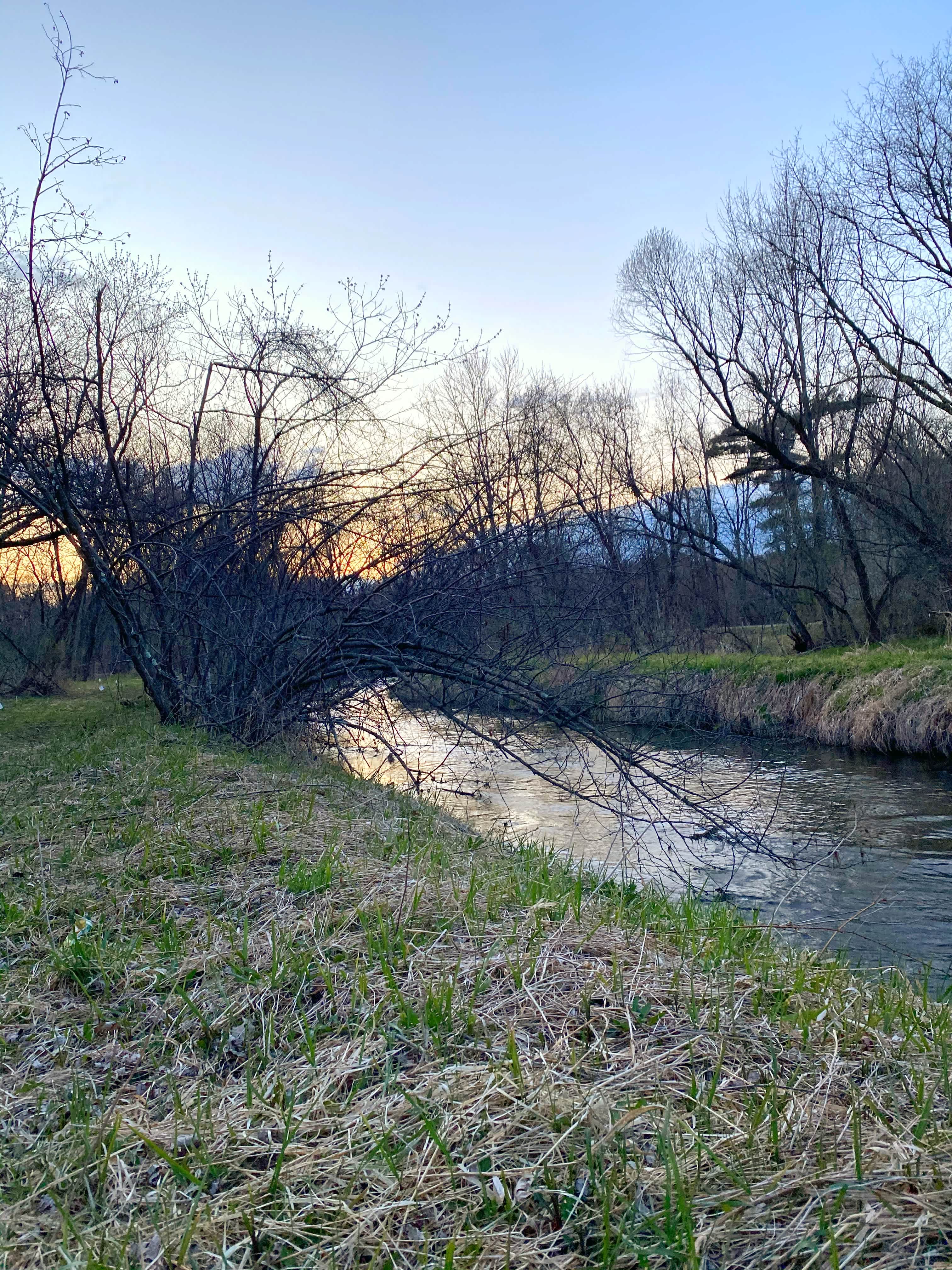 Elk Creek Retreat