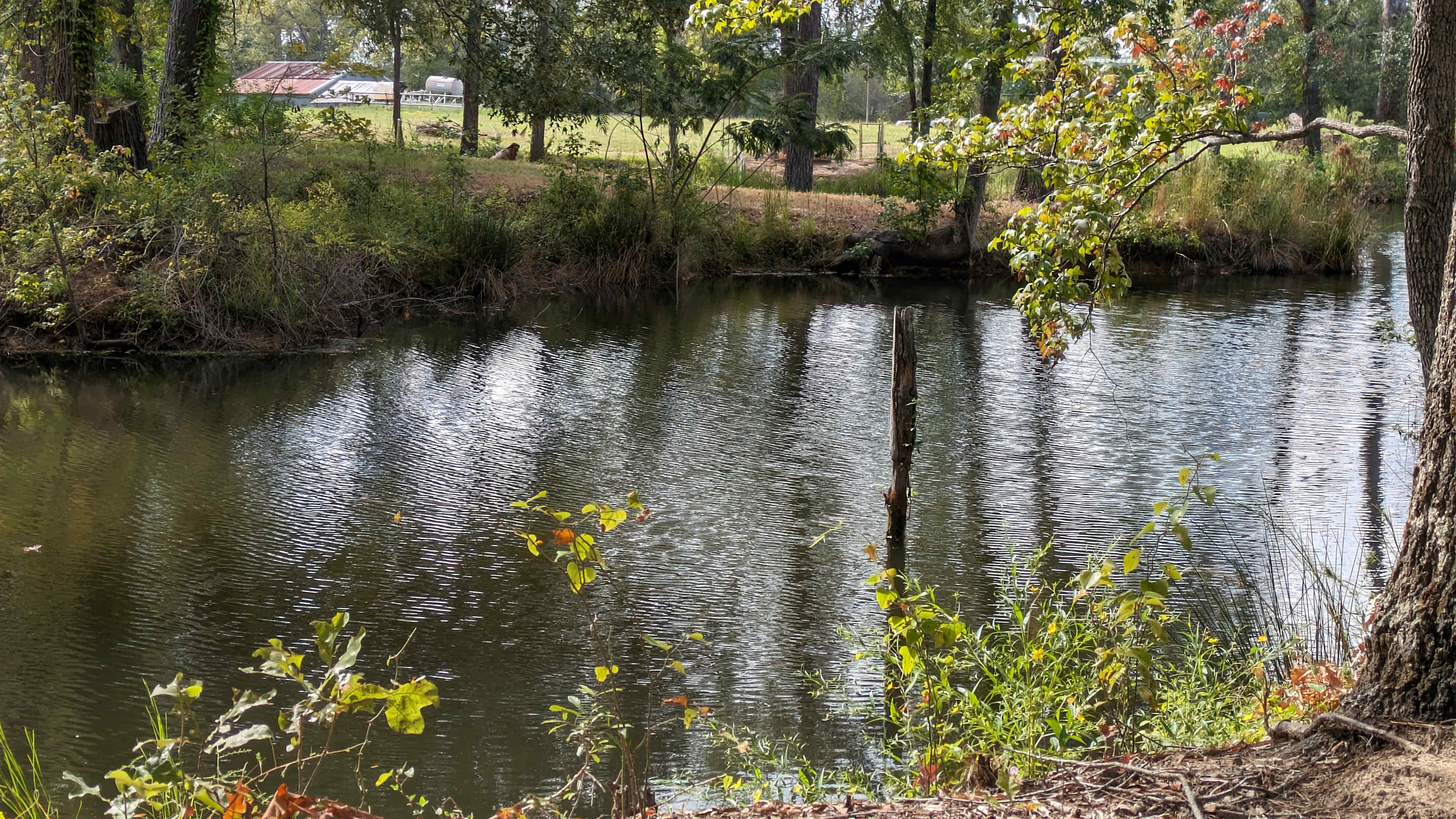 Caddo Springs Farm