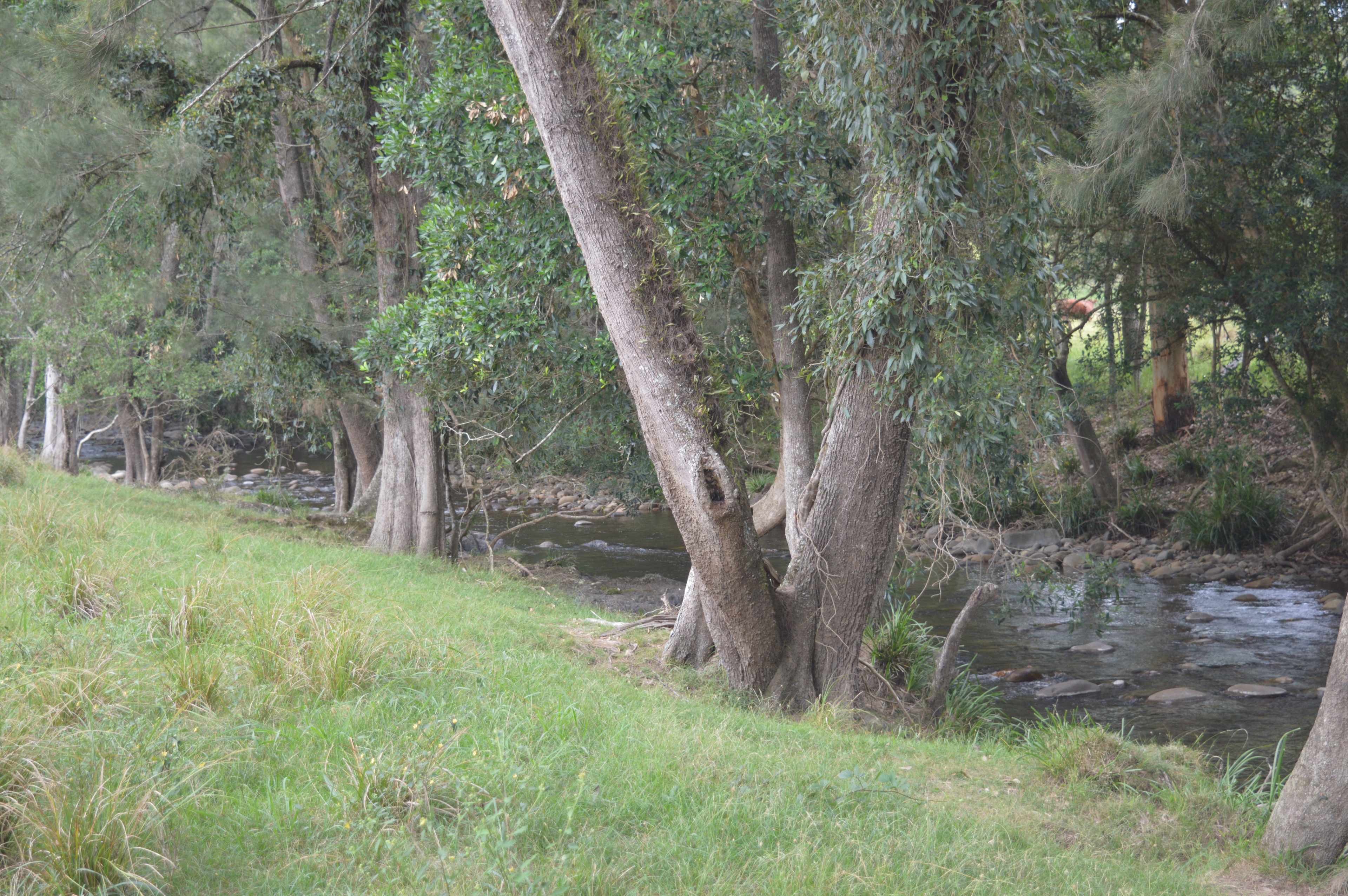 River Front Campsites