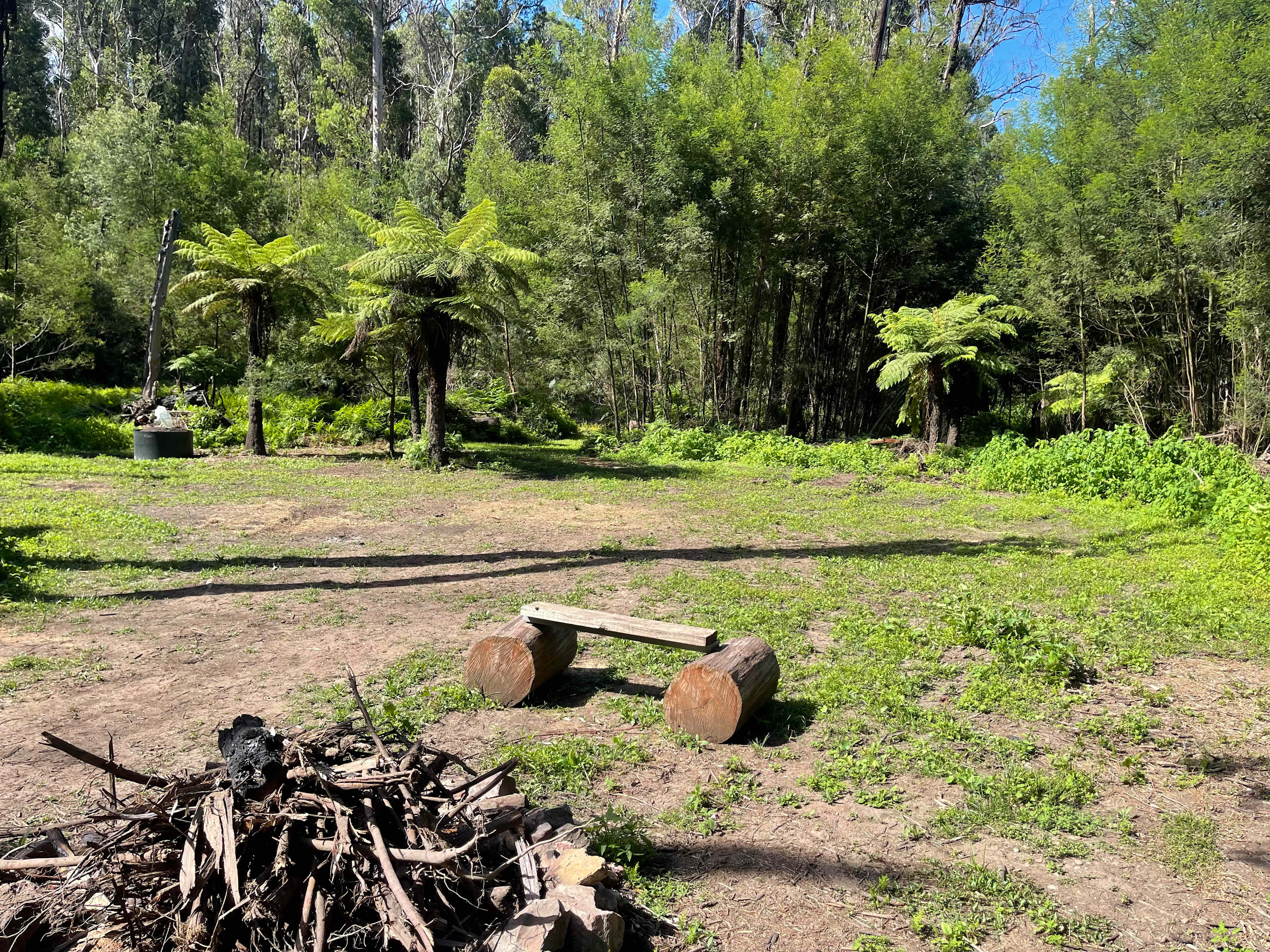 Fern Gully Campsite
