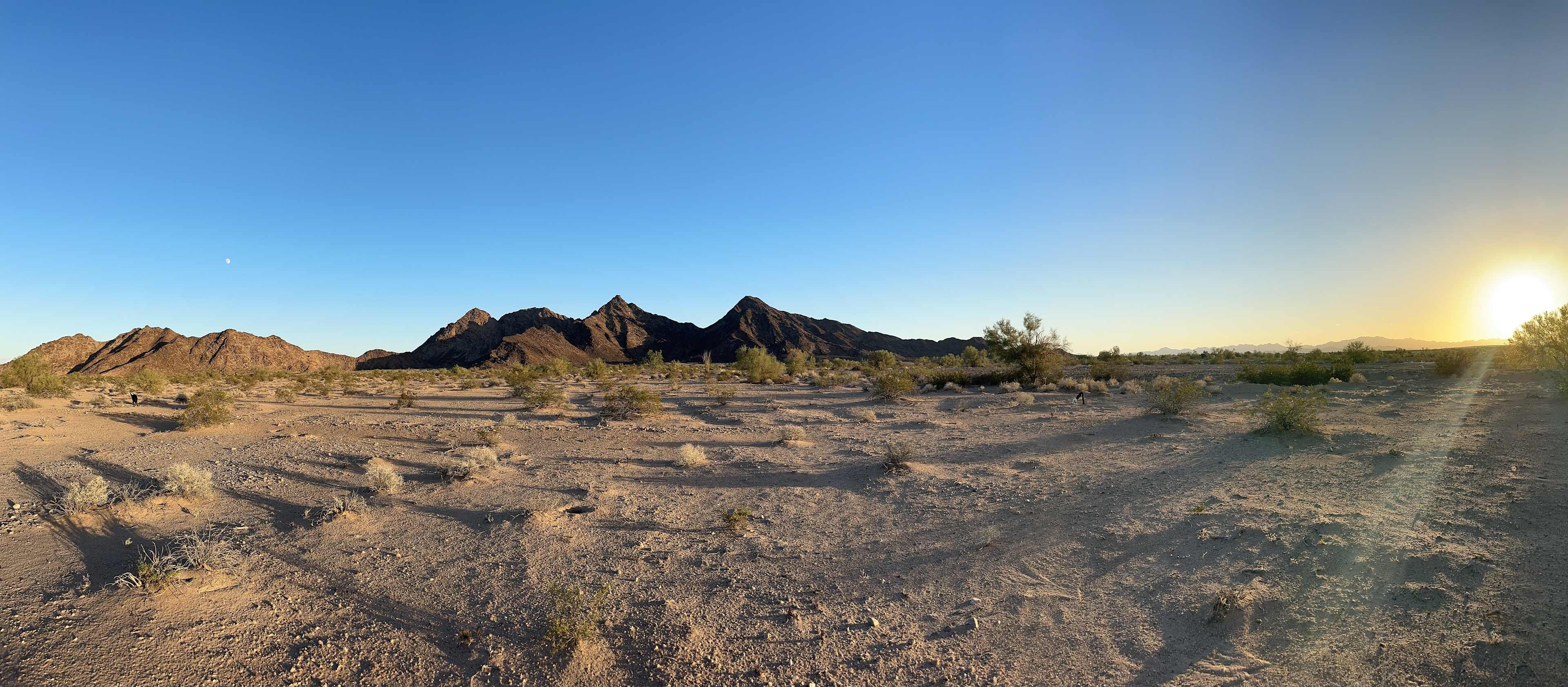 Picture of the site