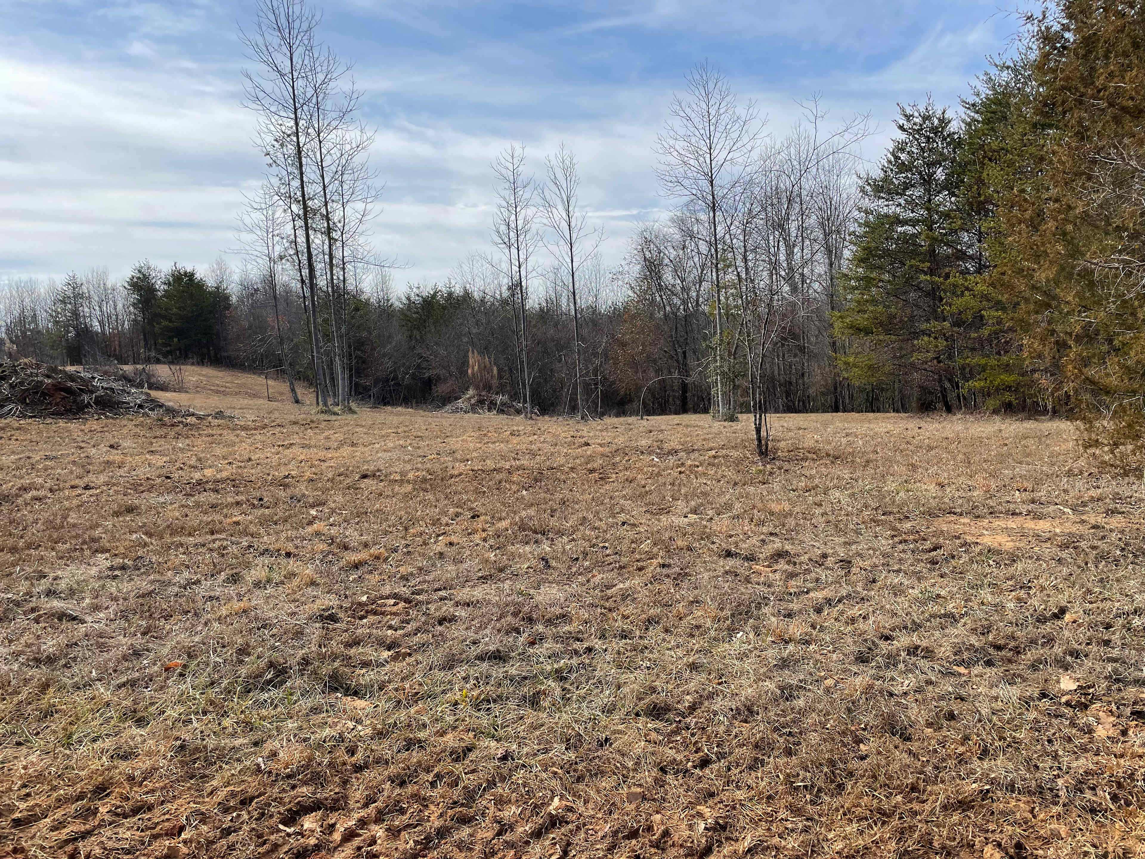Winter scene of Mulch Hill Field. Tuck in by the pines or pick a spot next to some hardwoods for some afternoon shading.