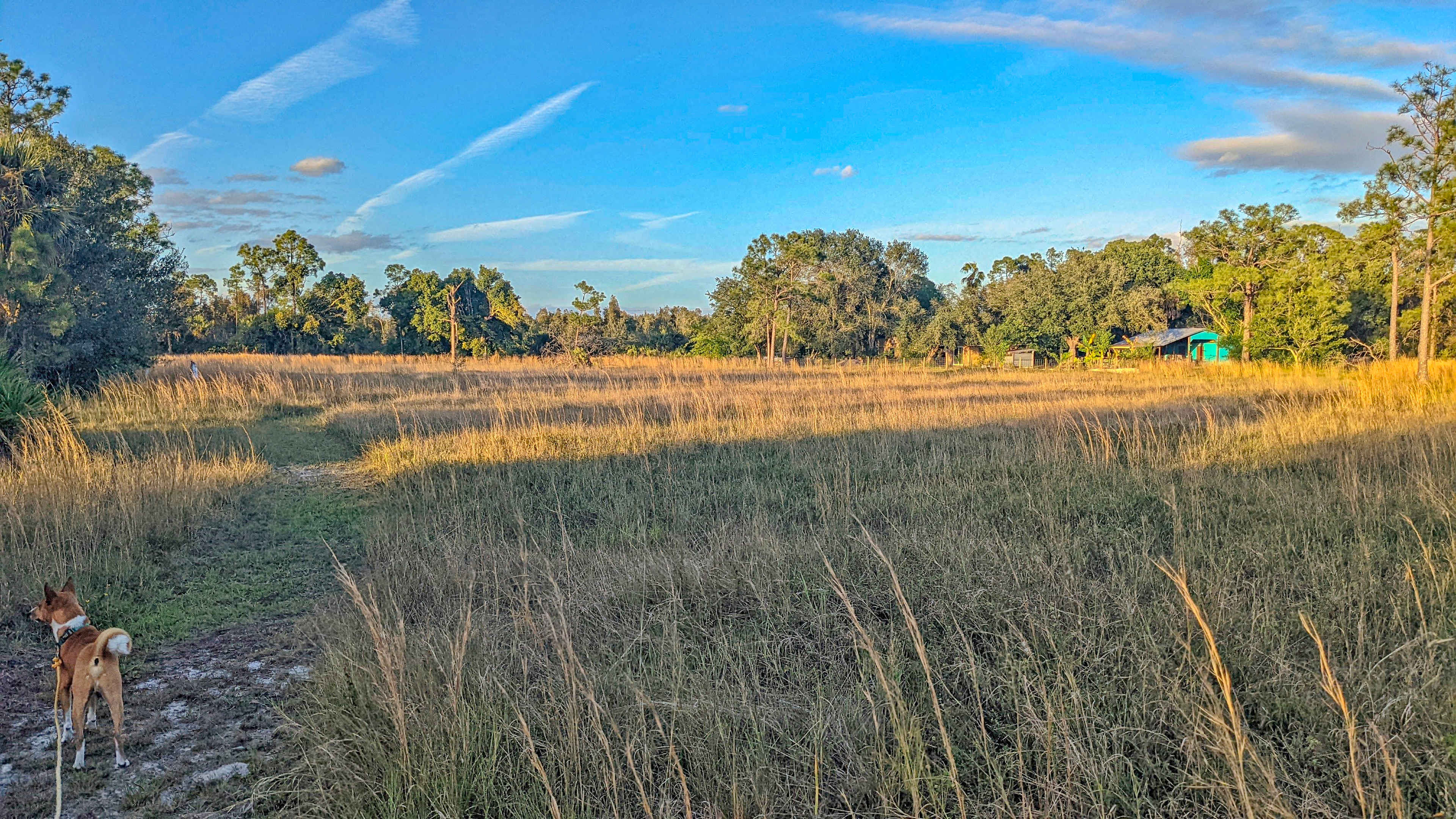 Big Sky Sanctuary