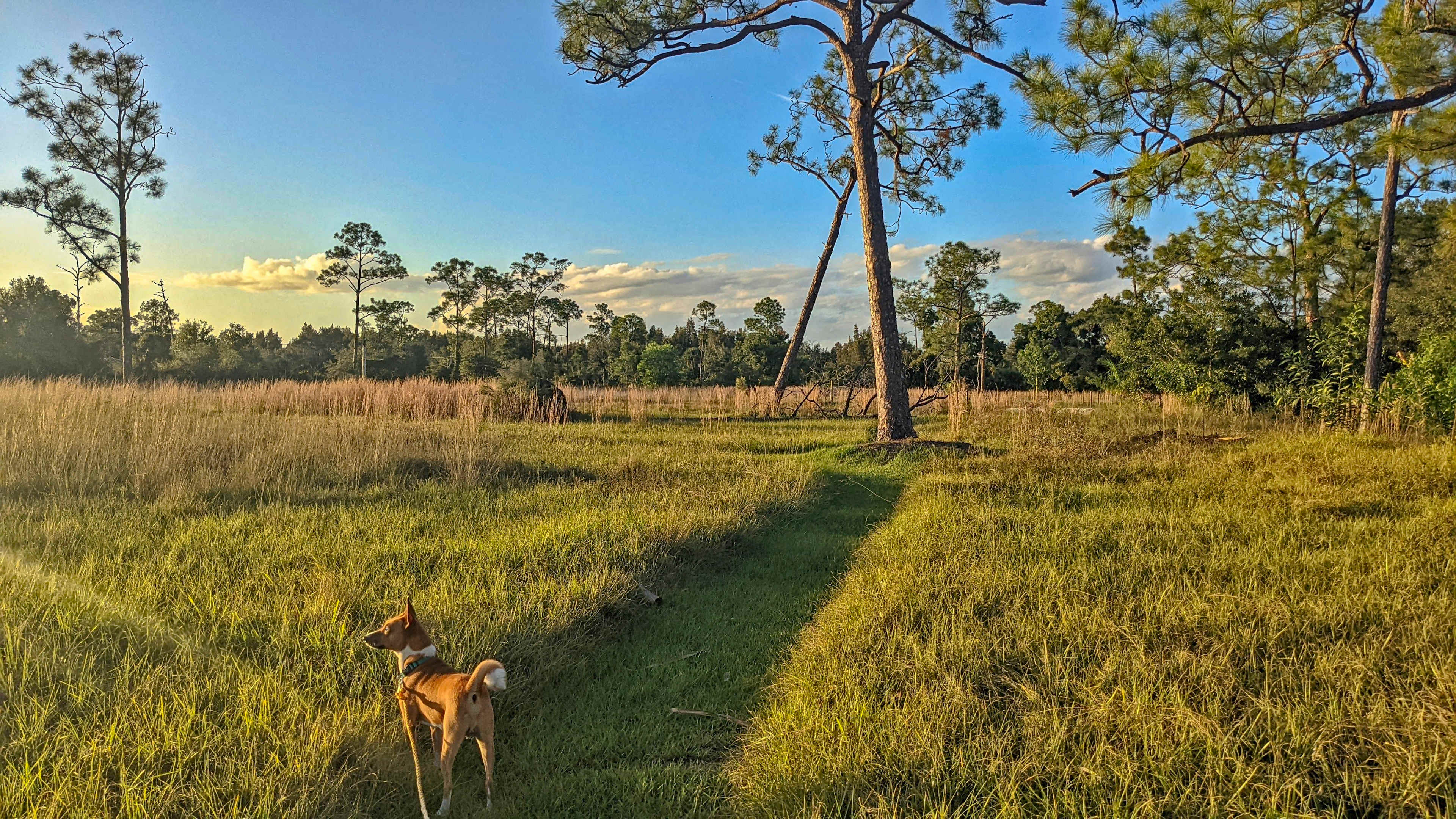 Big Sky Sanctuary