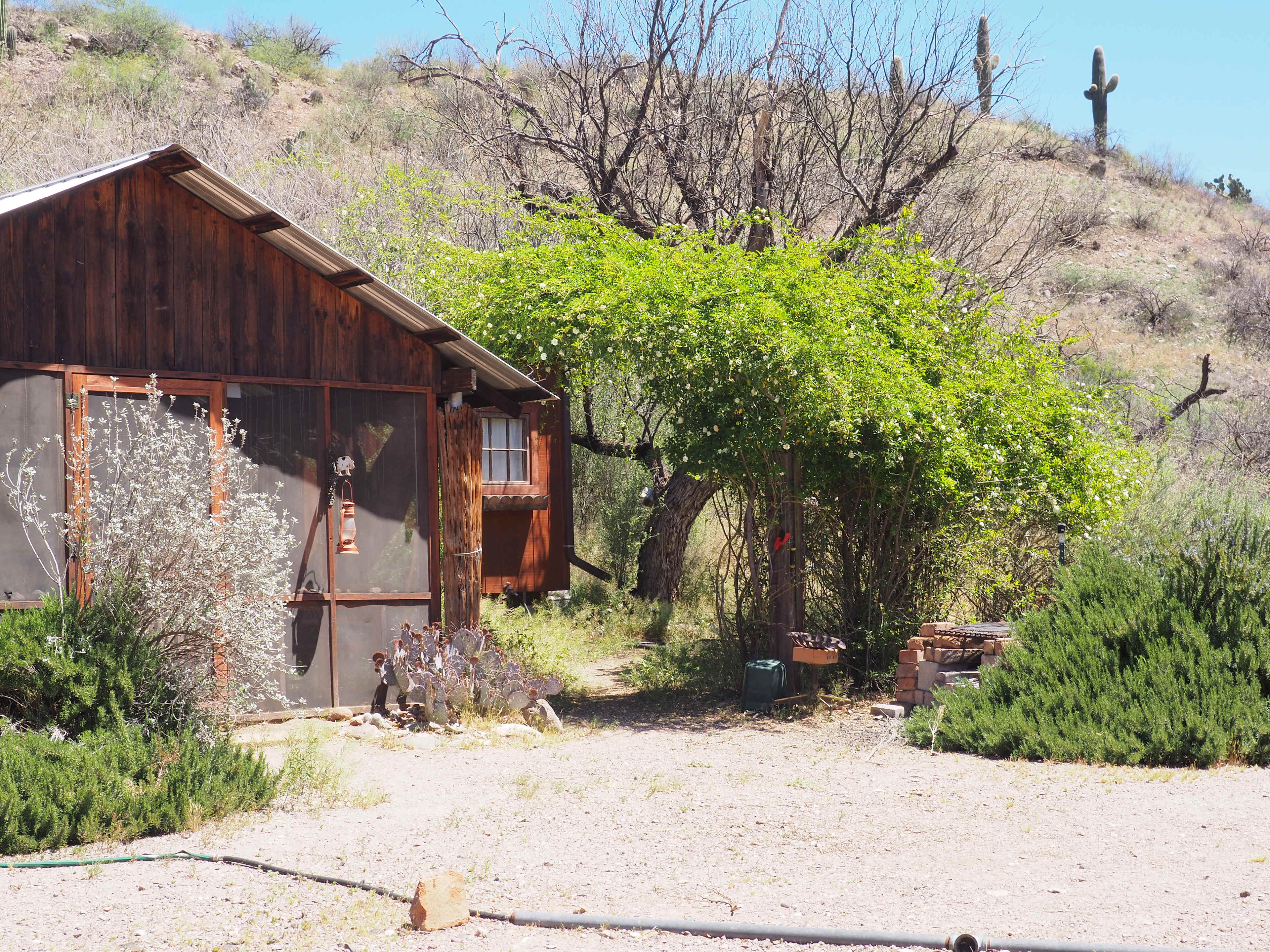 River Rock Cabin In Cascabel Az