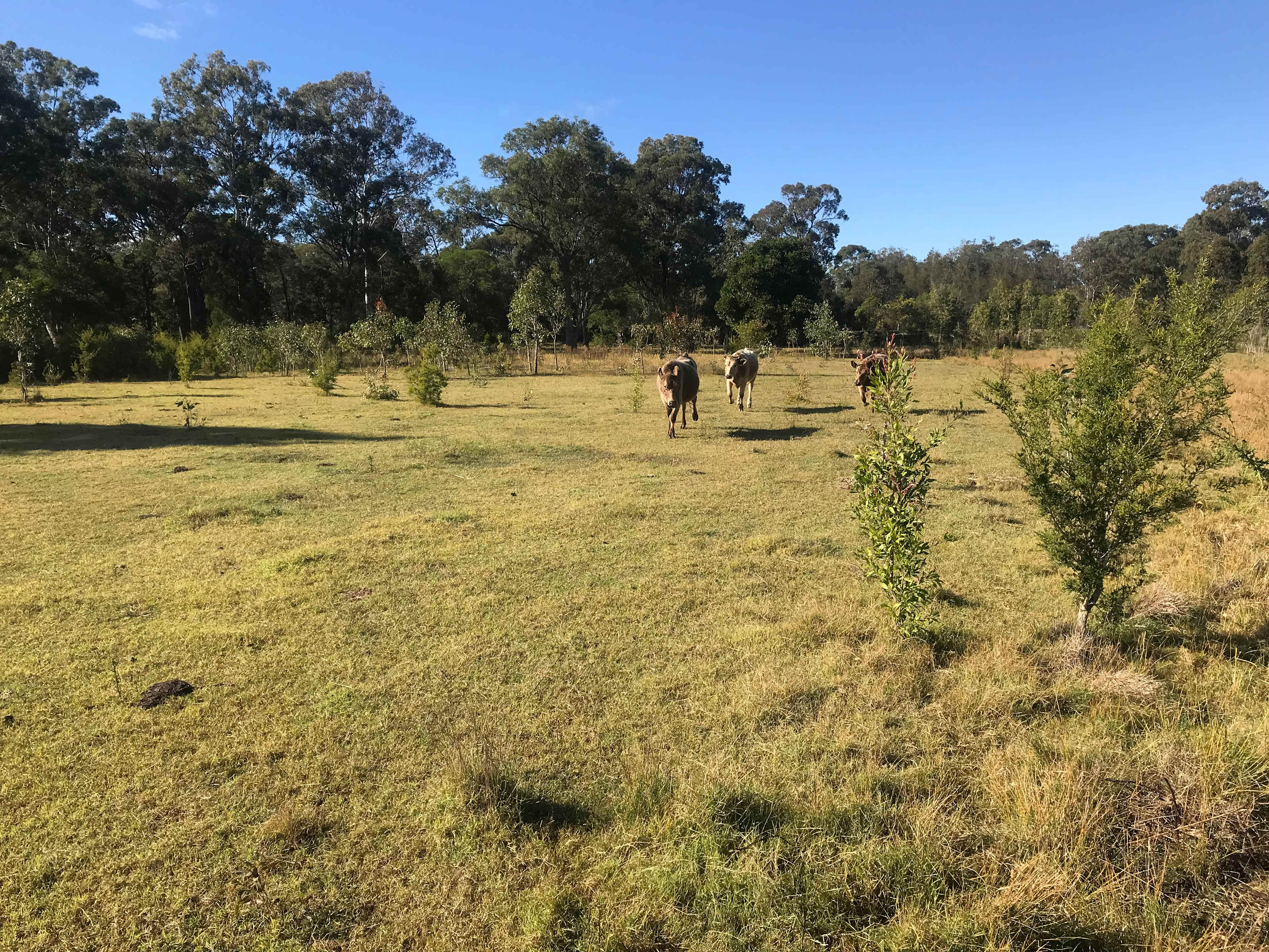 Rosgrow Farm Camping
