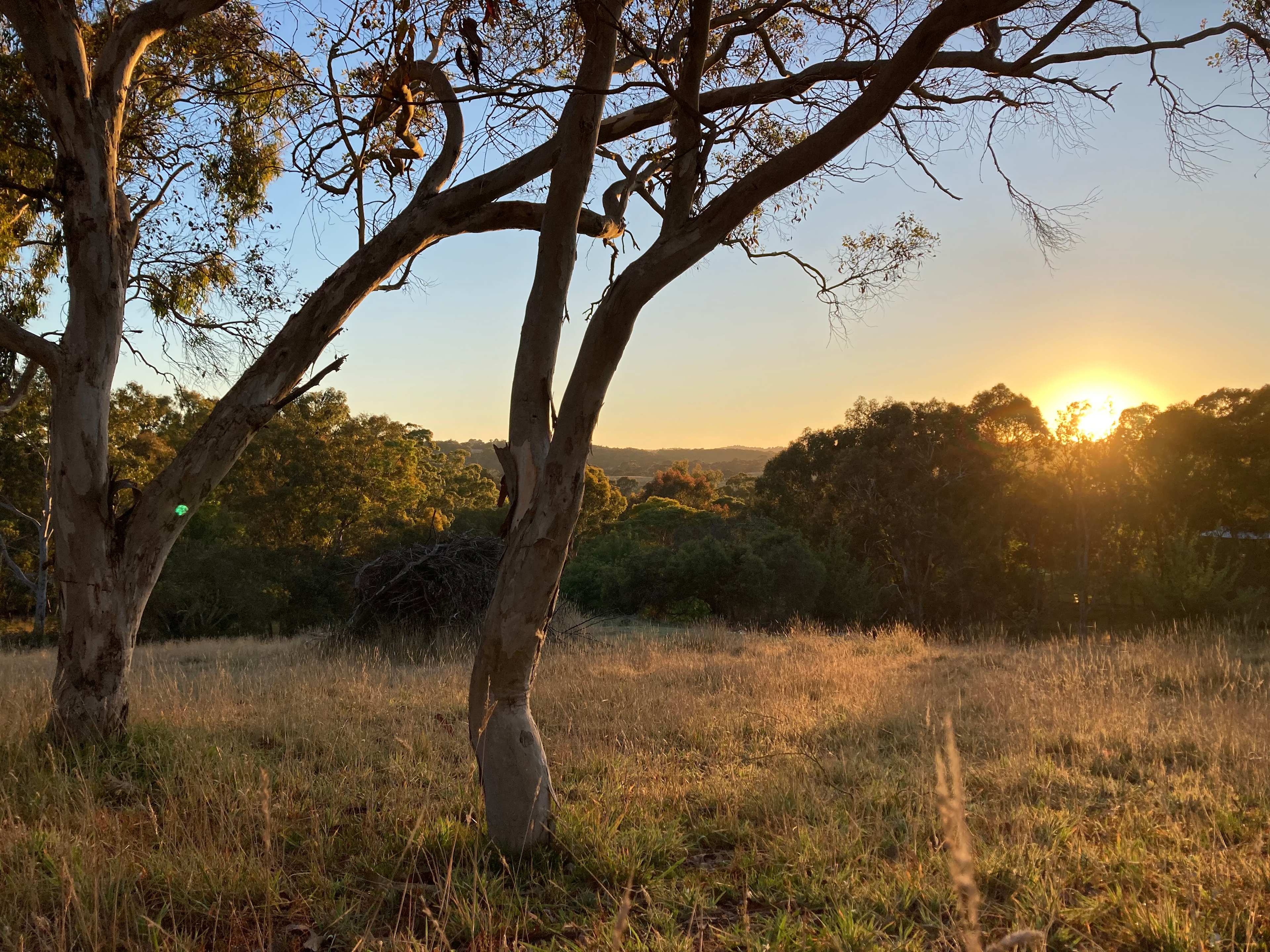 Willow Glen Alpaca Farm